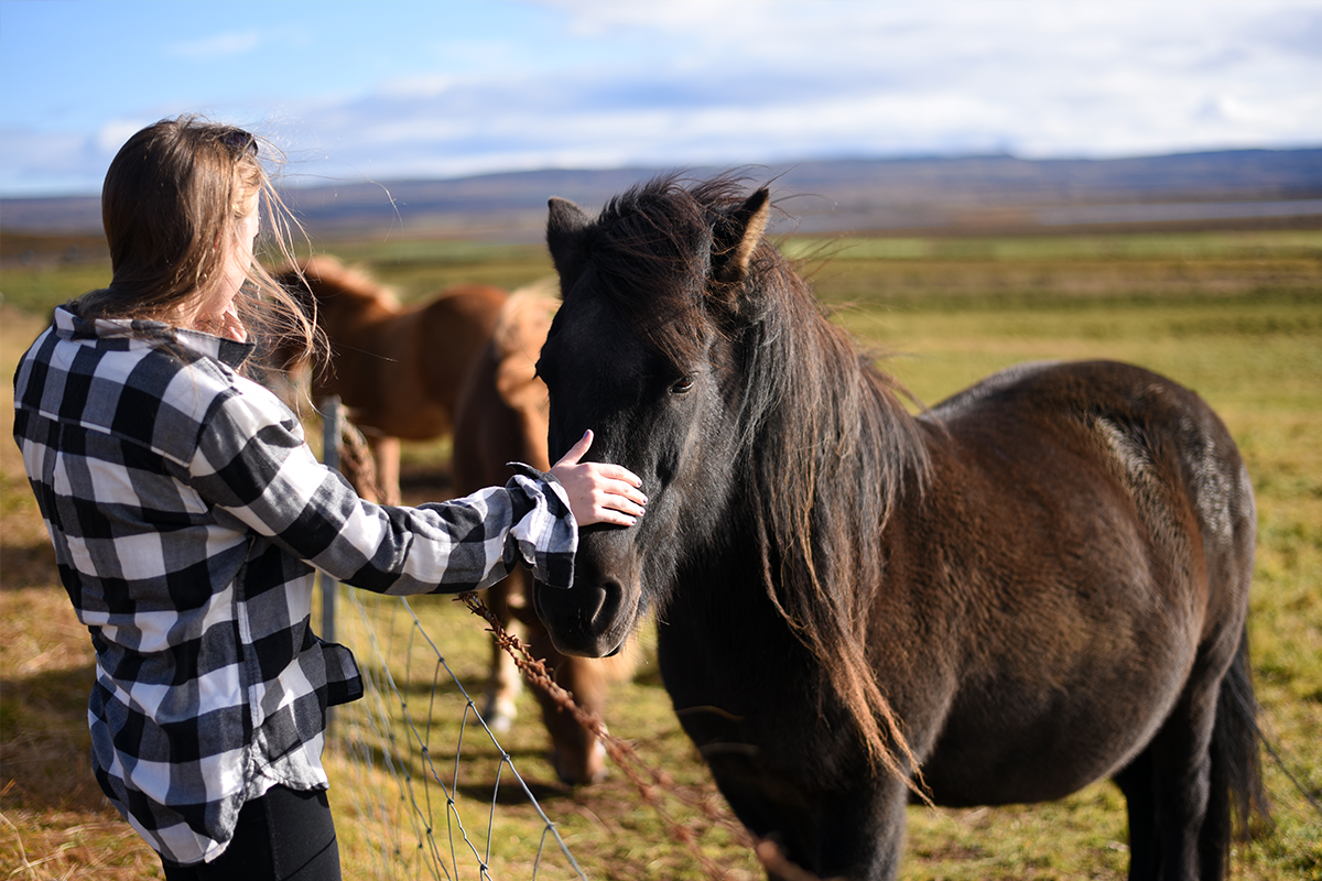 Karly petting one of the horses.