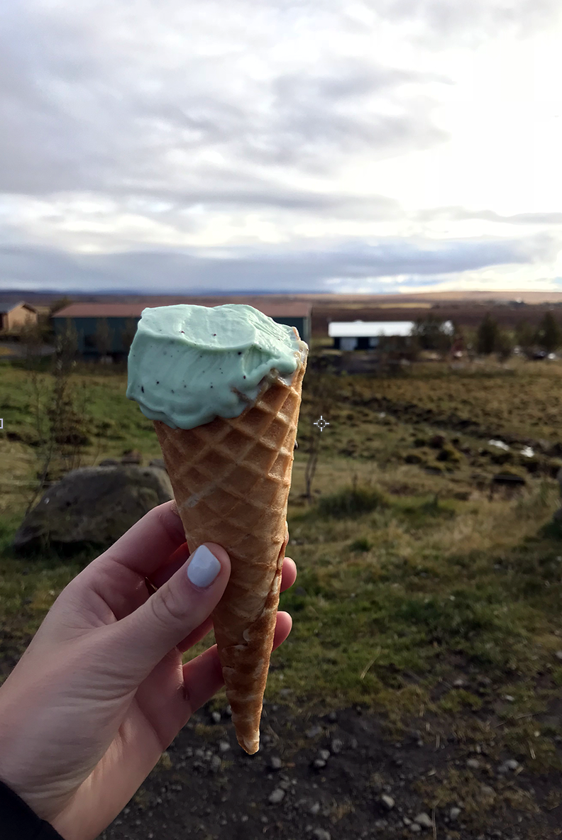 Mint chocolate chip — my favorite!