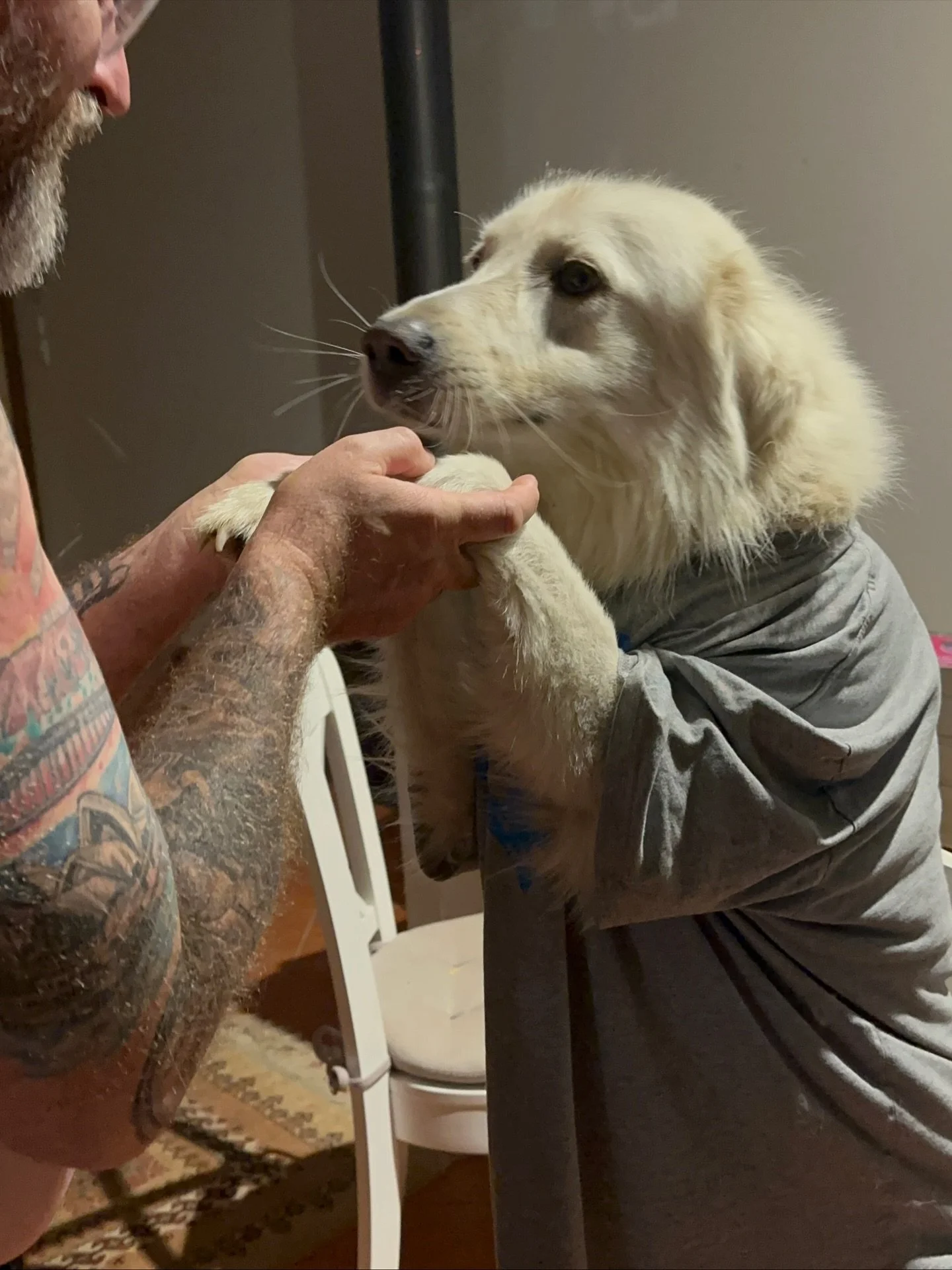 Caption This. 

Best caption wins. Go👇🏻