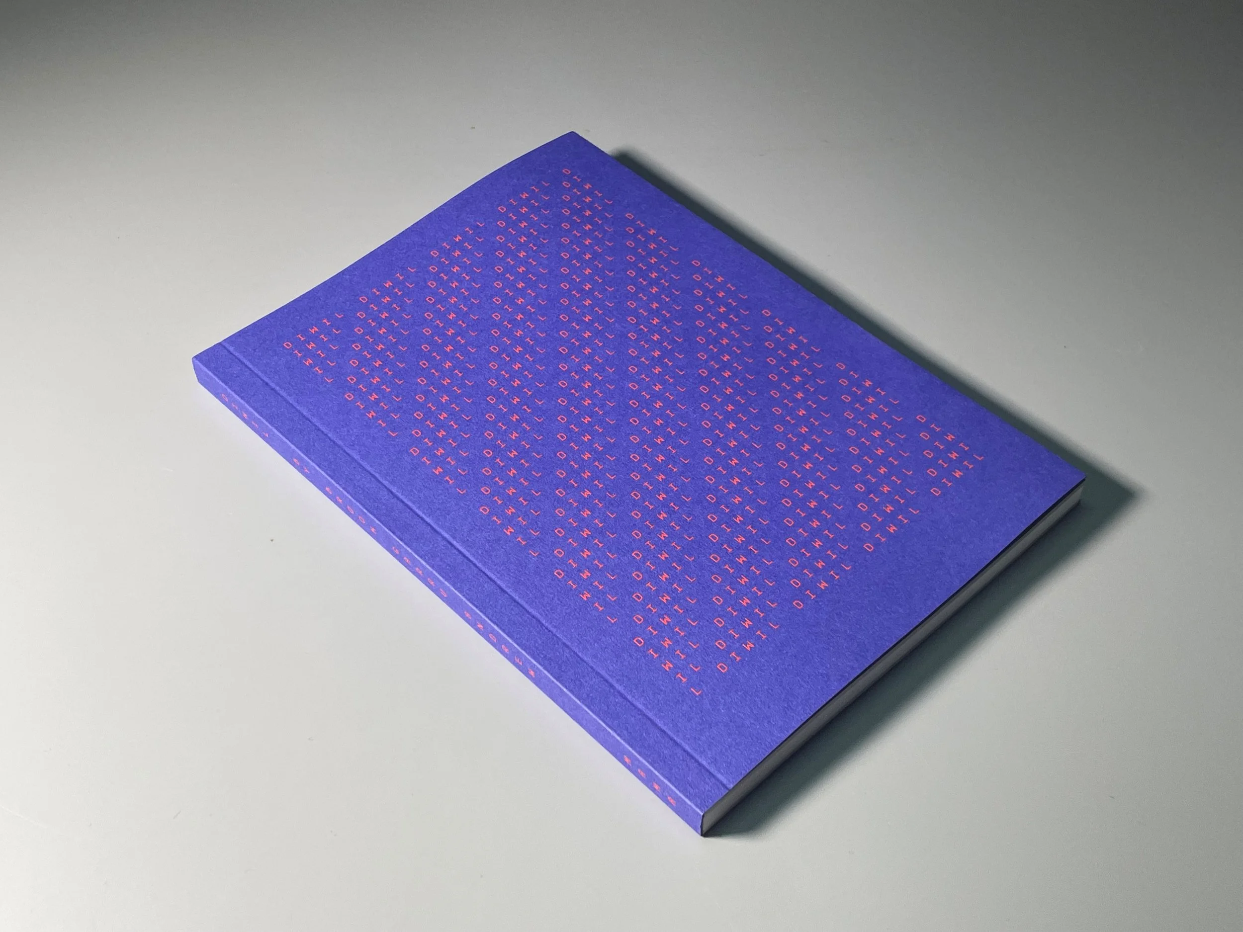 DIWIL publication cover_Mark Gowing.jpg