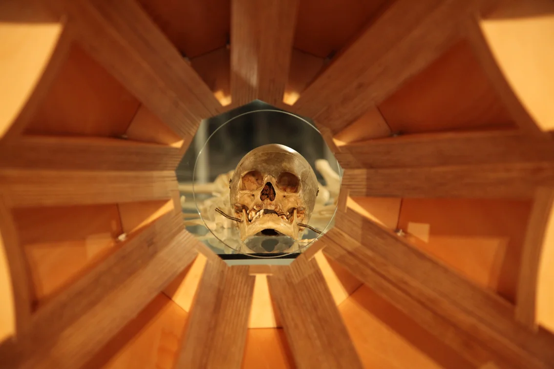 Vox: Beyond Tasmania , 2013 Mixed media: wood, paper, glass, human skeleton and metal. Collection National Gallery of Victoria, Australia