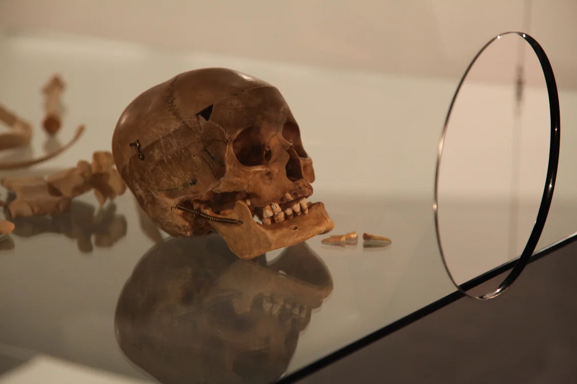 Vox: Beyond Tasmania , 2013 Mixed media: wood, paper, glass, human skeleton and metal. Collection National Gallery of Victoria, Australia