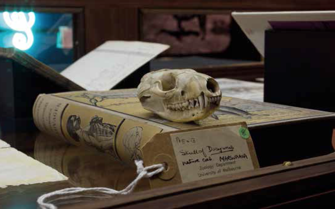 Installation view Sanctuary: Tombs of the outcasts Ian Potter Museum of Art, University of Melbourne 18 April - 9 August, 2015 Photography: Christian Capurro