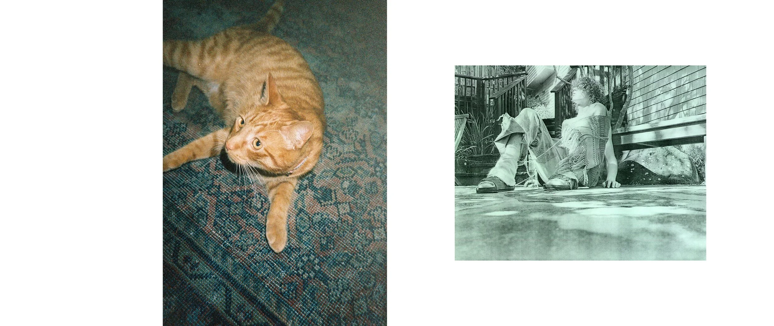 THESIS 2023 JPEG24.jpg