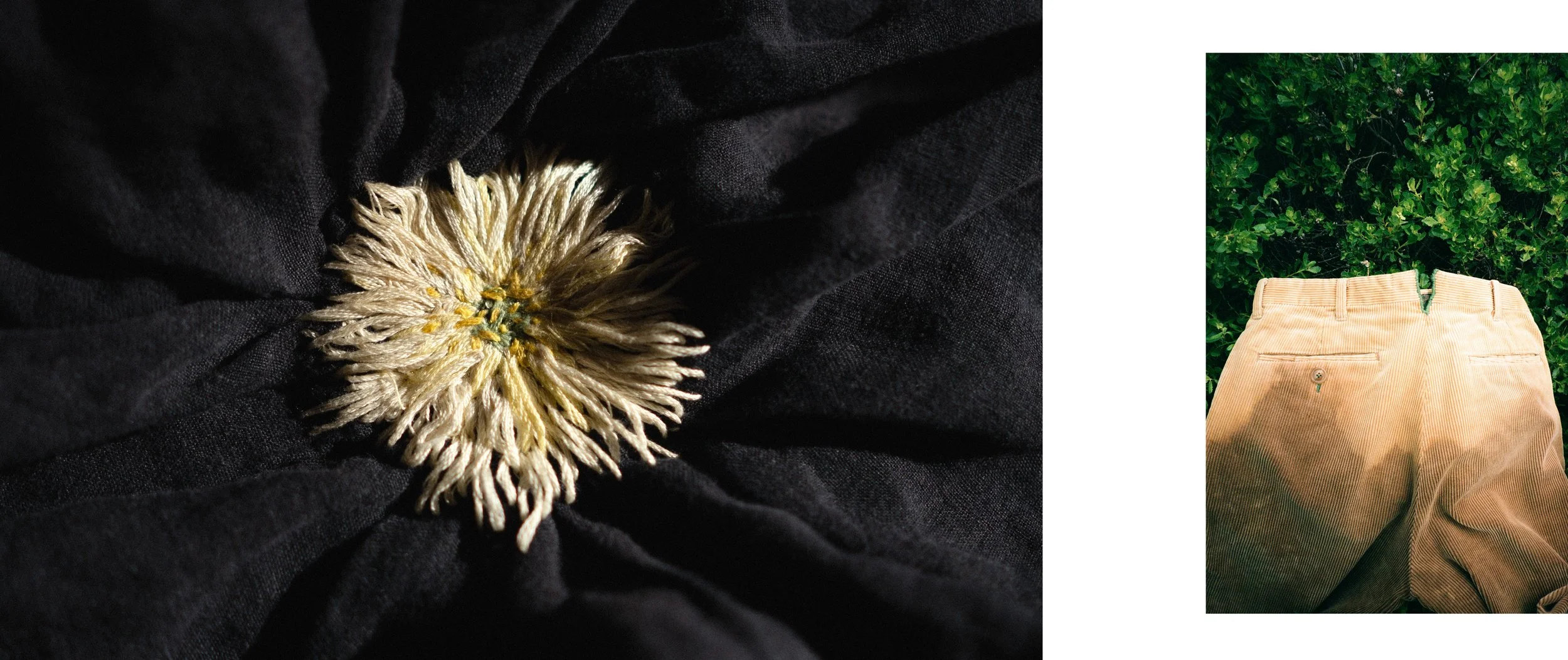 THESIS 2023 JPEG37.jpg