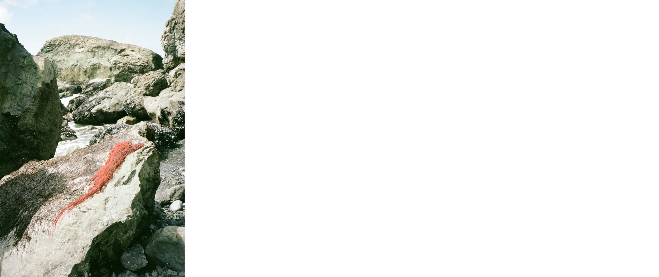 THESIS 2023 JPEG47.jpg