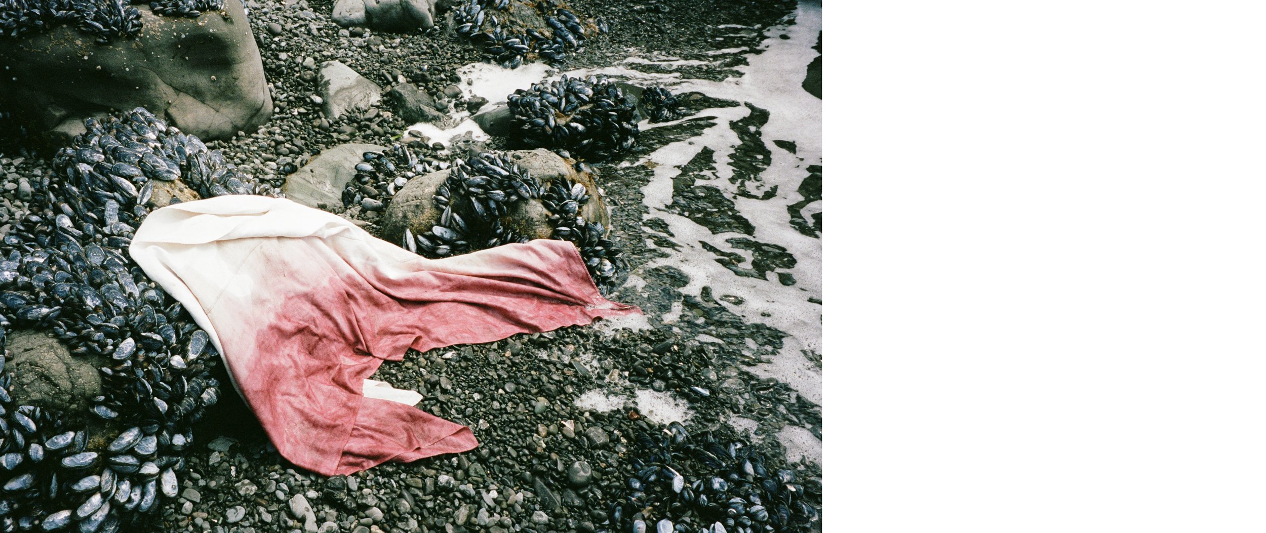 THESIS 2023 JPEG54.jpg