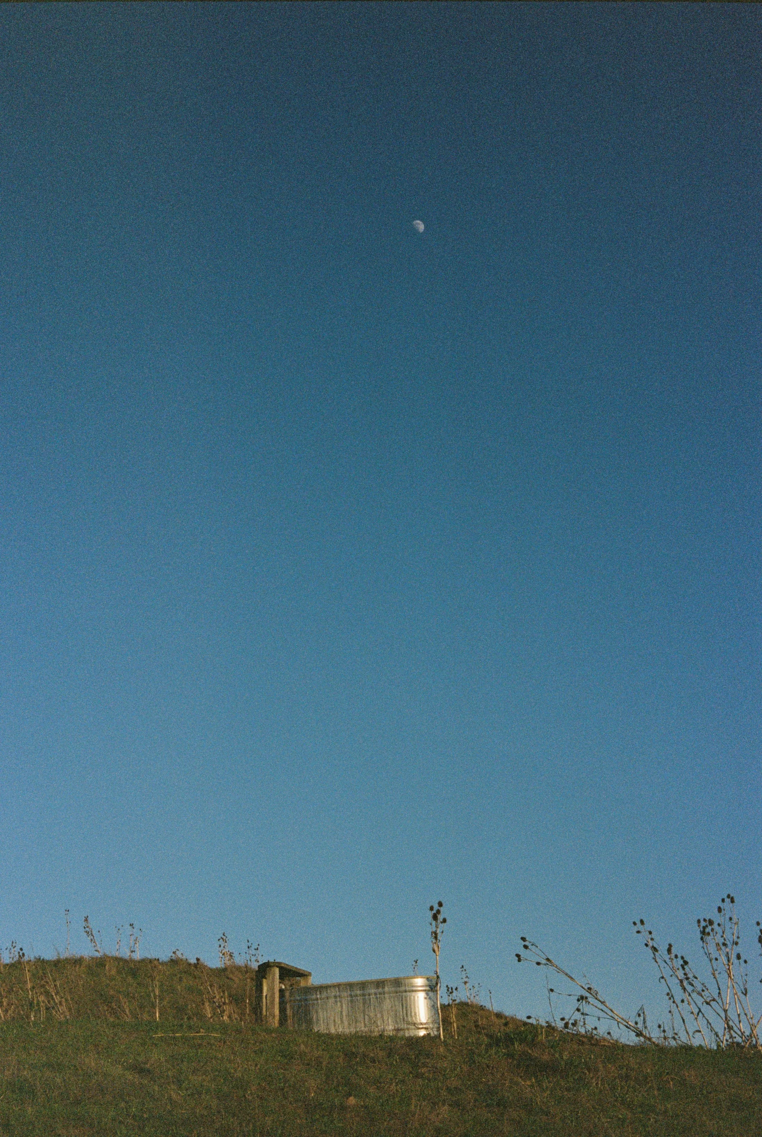 46382_11.jpg