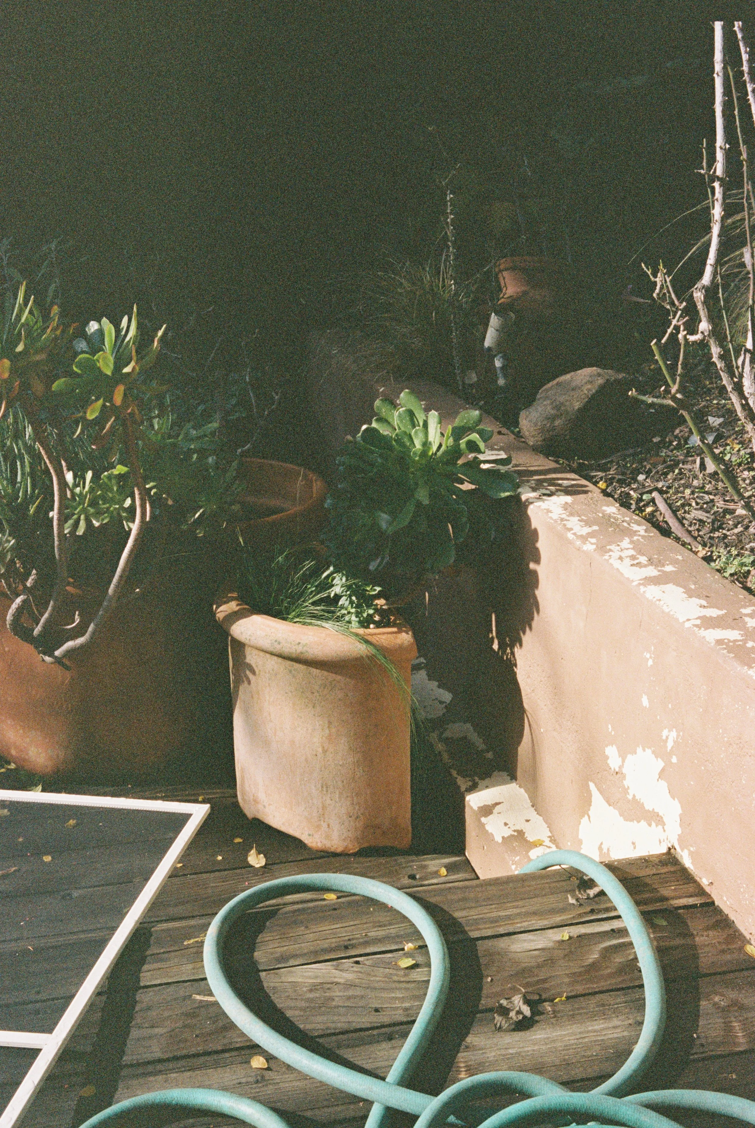 46382_01.jpg