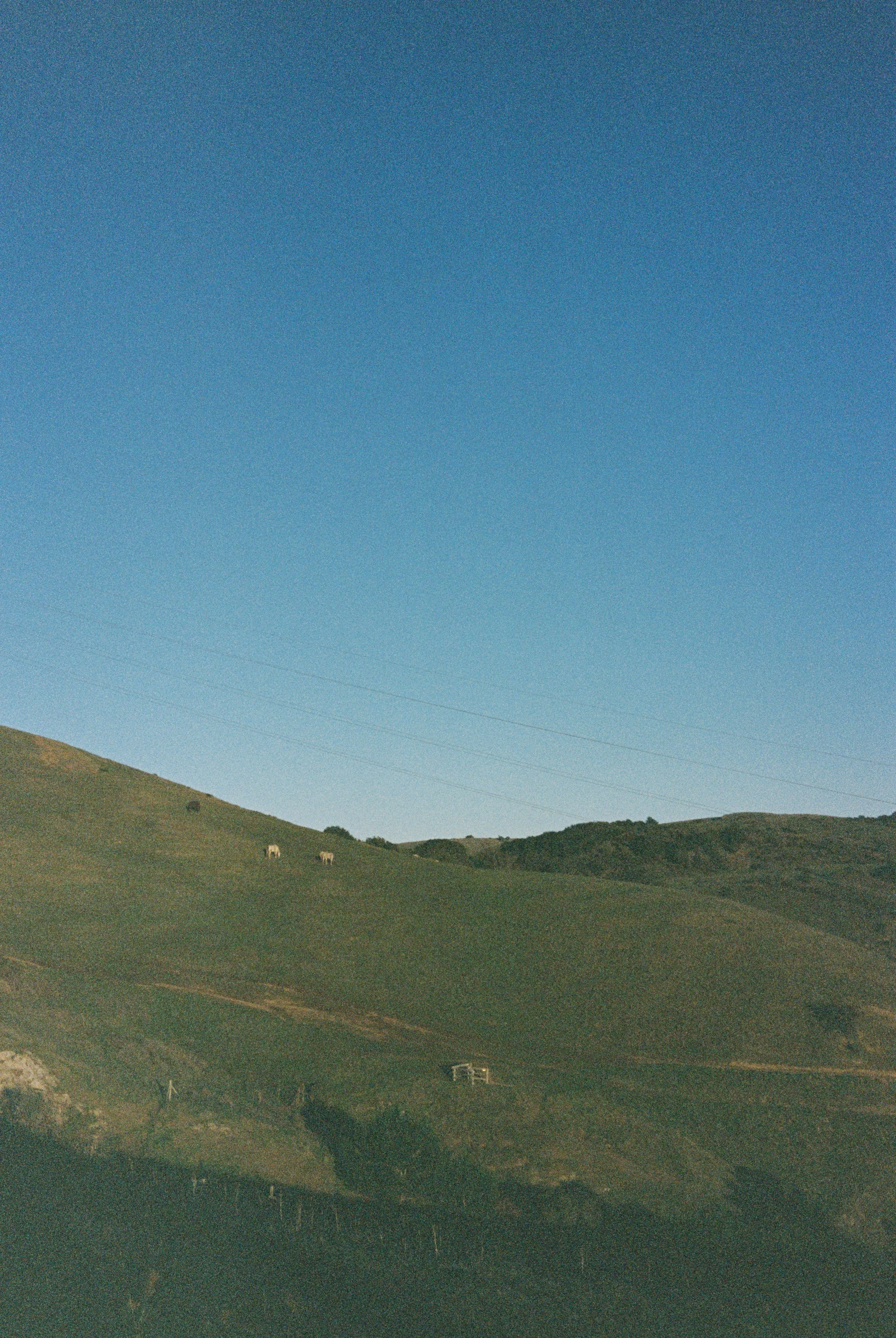 46382_13.jpg
