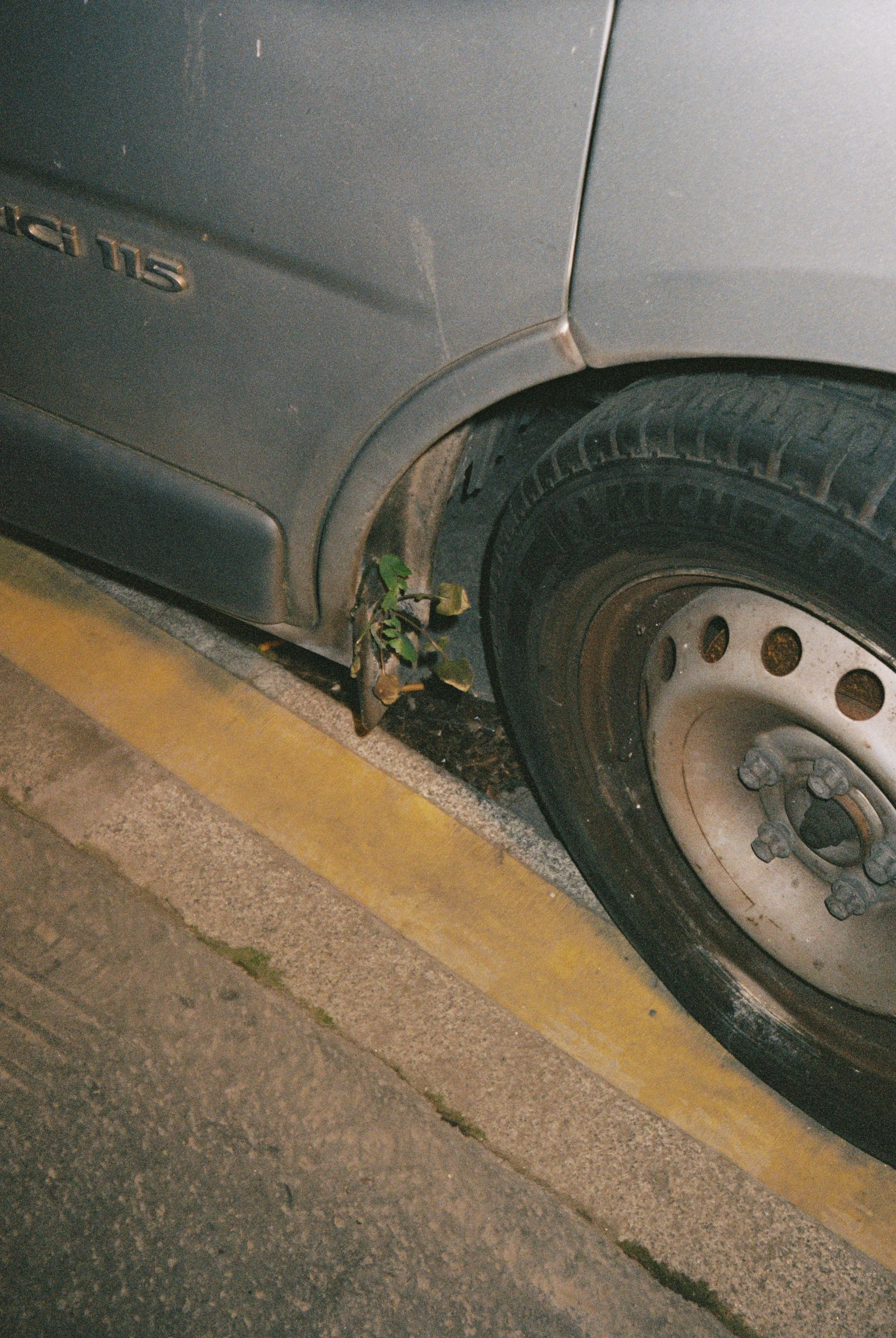46383_05.jpg