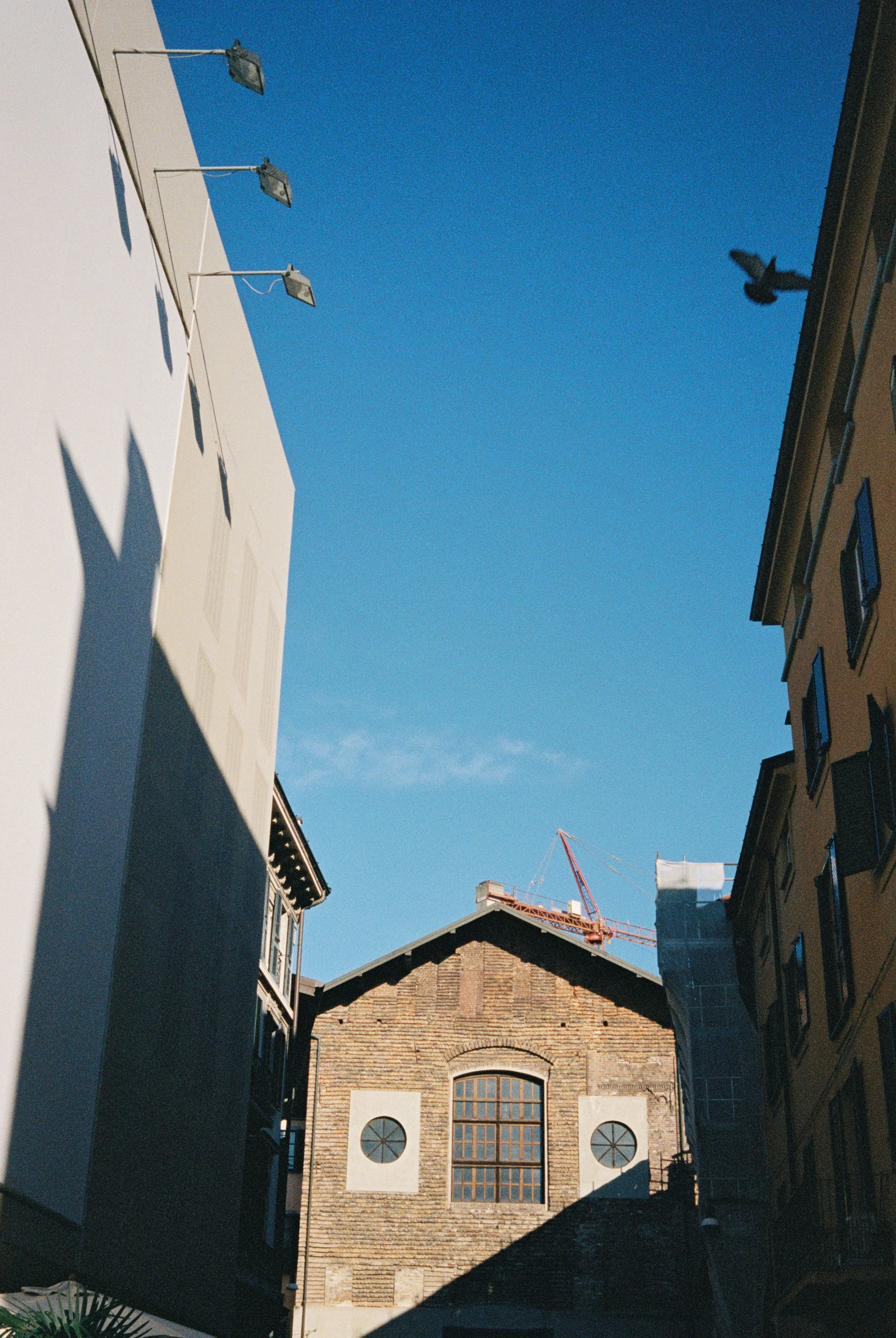 46383_17.jpg