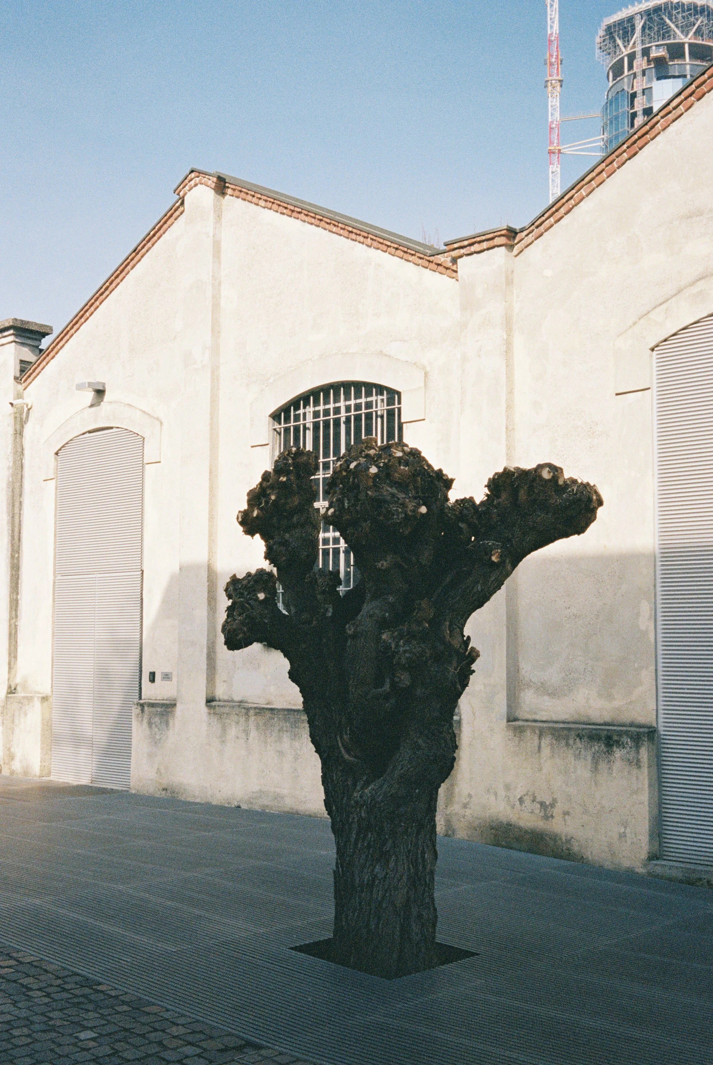 46383_19.jpg