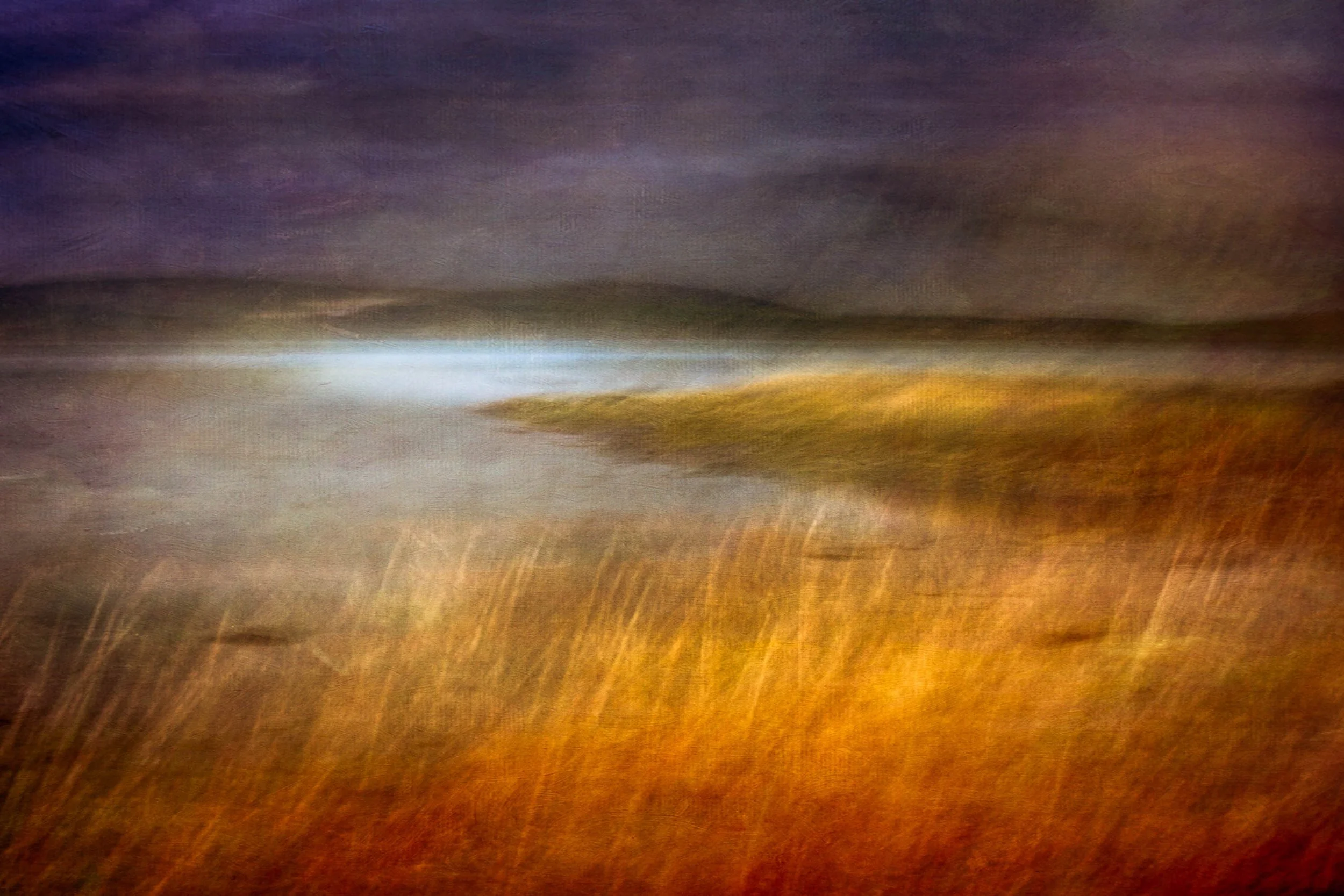Fabric of the Landscape II 30 x 20_.jpg