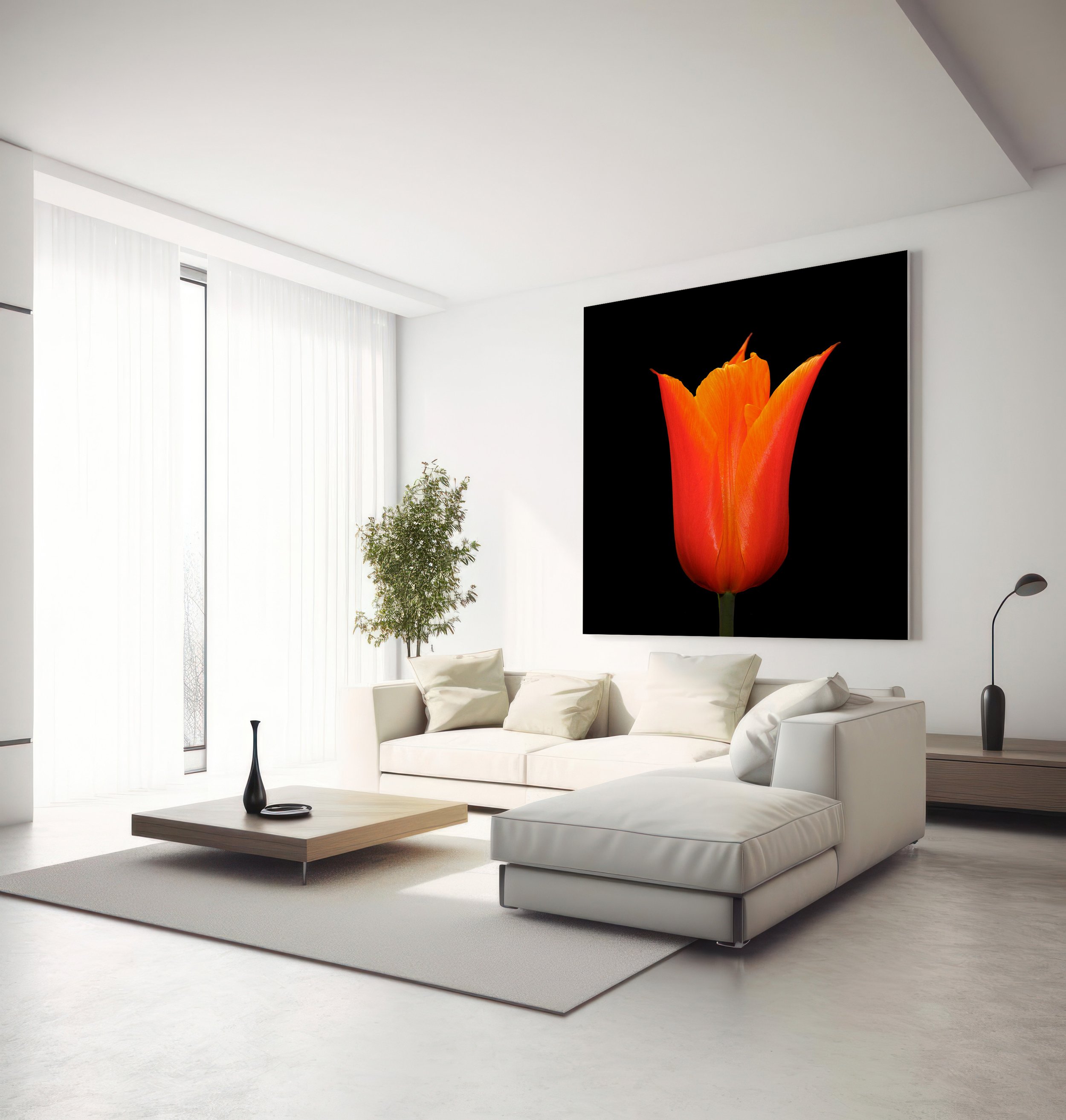 39 Orange Tulip 1-Edit-Edit-Edit-2 Room .jpg