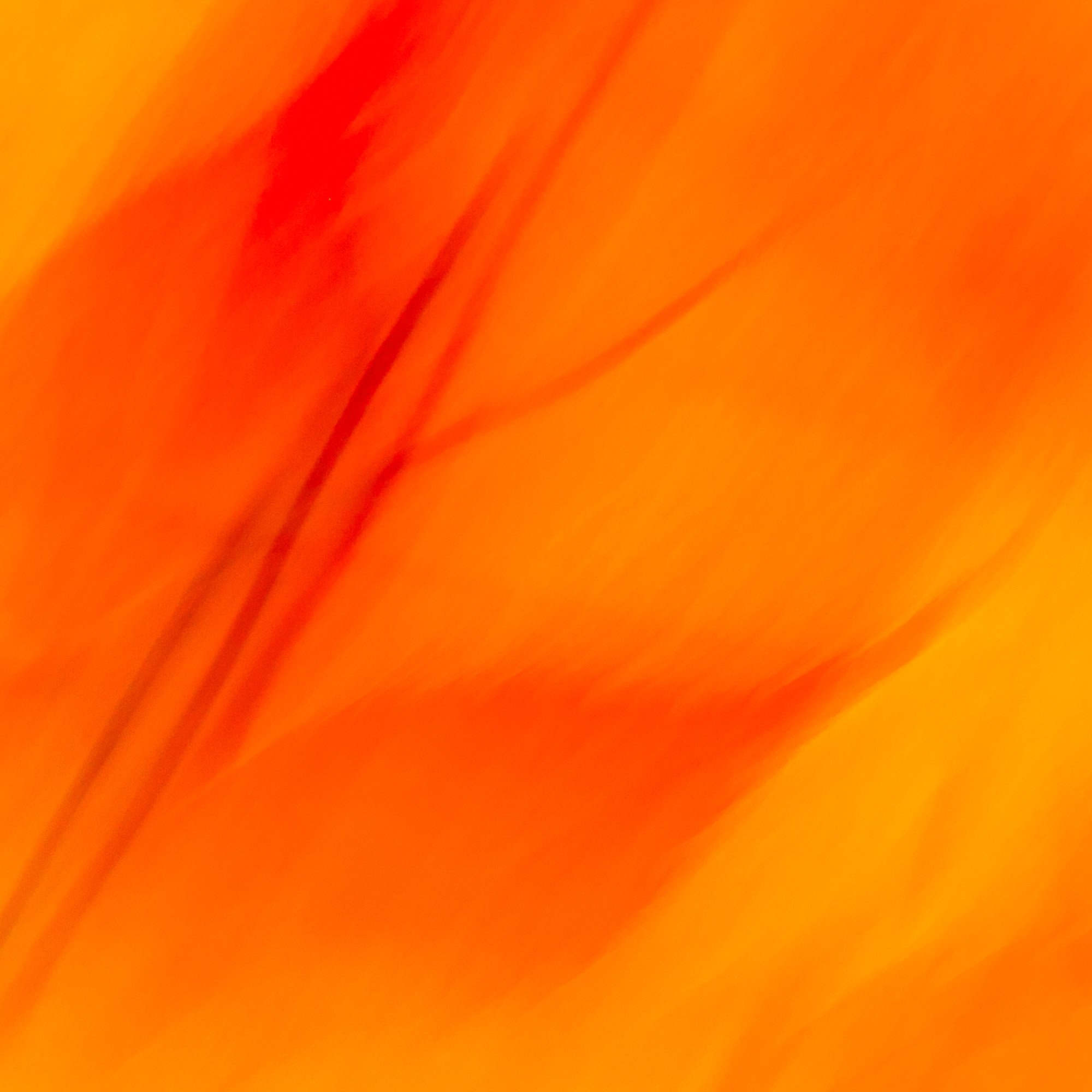 LD_153_Fiery Fall Flower.jpg