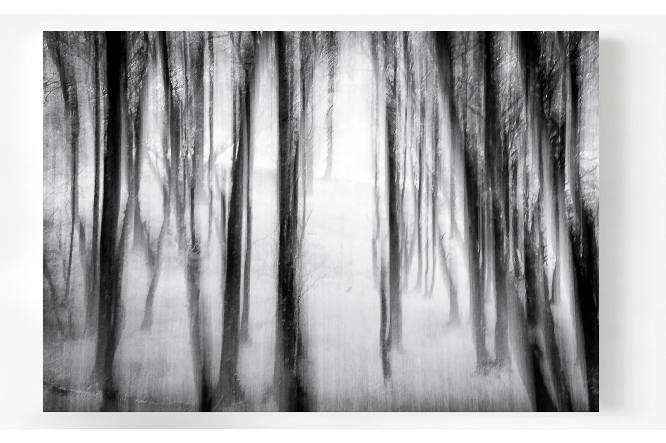 Into the Light B 2.jpg