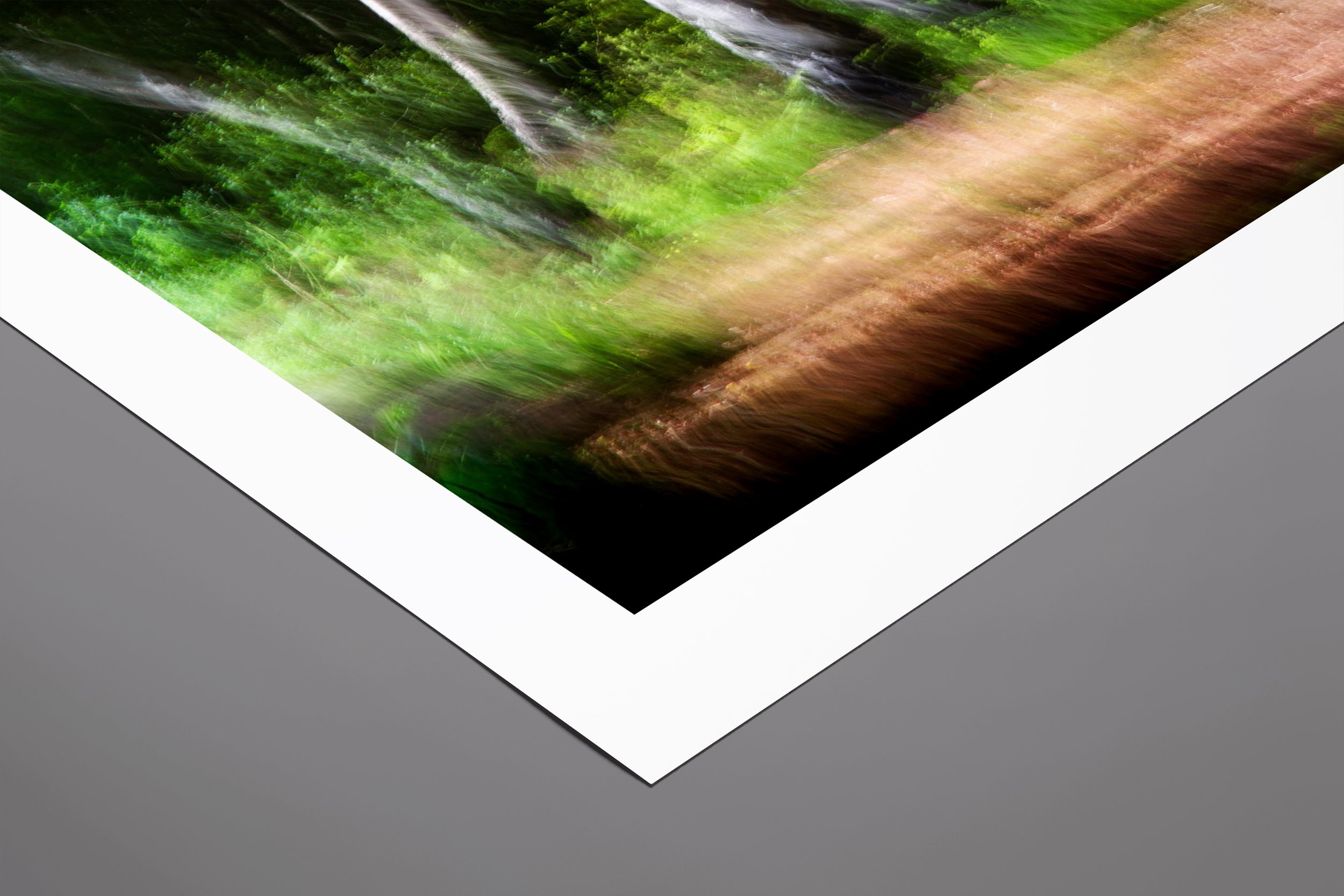 Deep in the Forest 1 .jpg