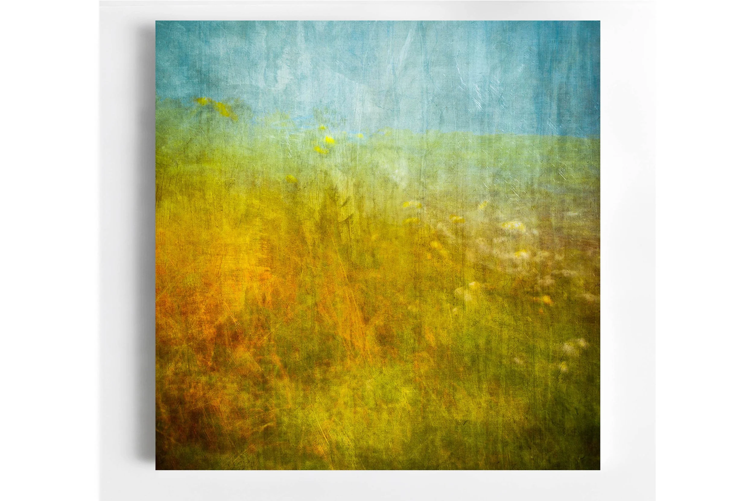 37 Flowers Orkney-Edit Room_.jpg