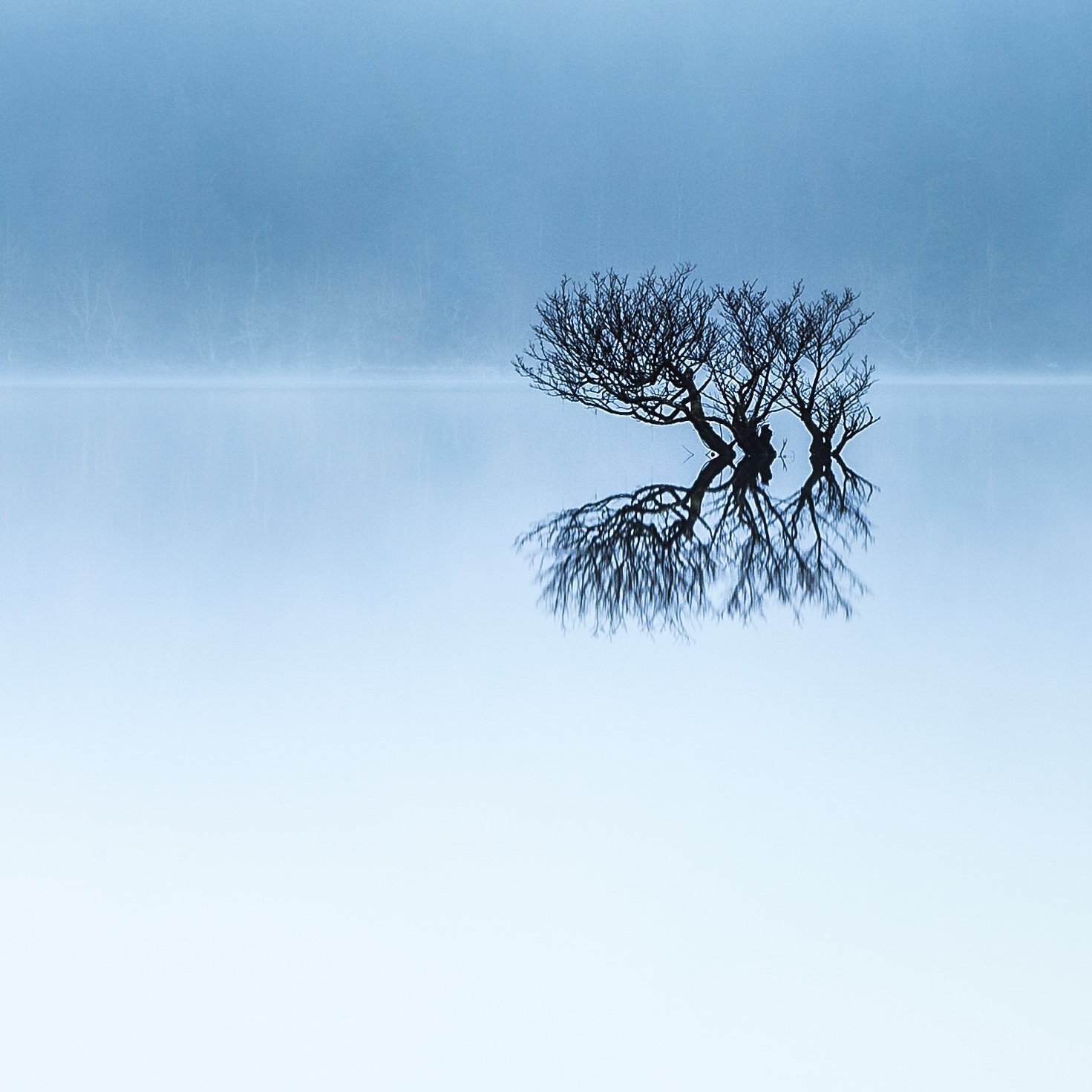 LOST IN THE MIST FINAL FOR PRINTING 30 inch-2-2.jpg