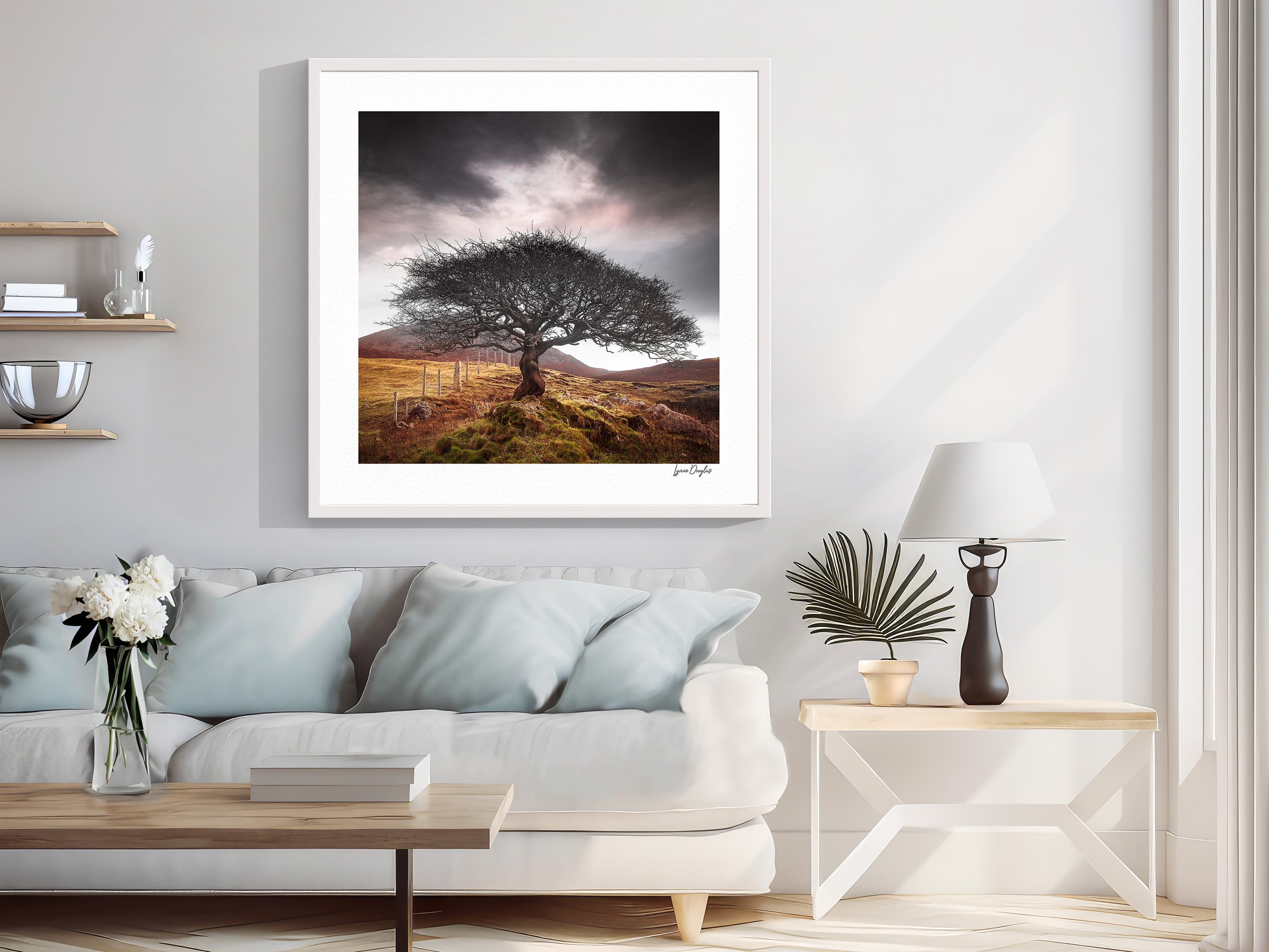668 The One Tree Room .jpg