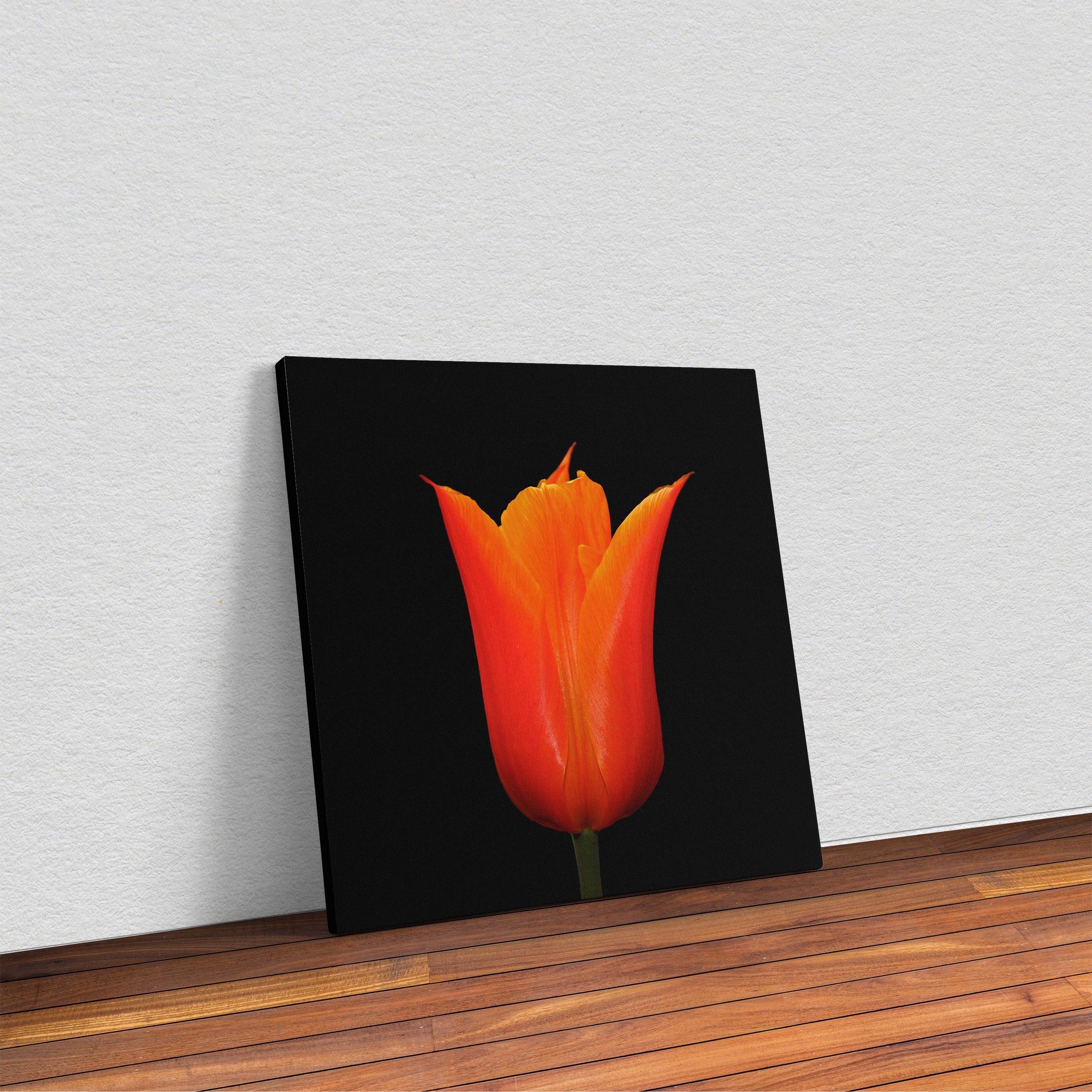 63 Orange Tulip 1-Edit-Edit-Edit-2 Room .jpg