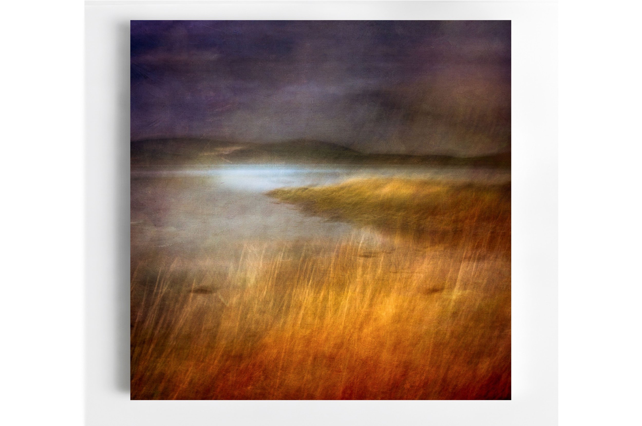 114 Fabric of the Landscape II 30 30 Room .jpg