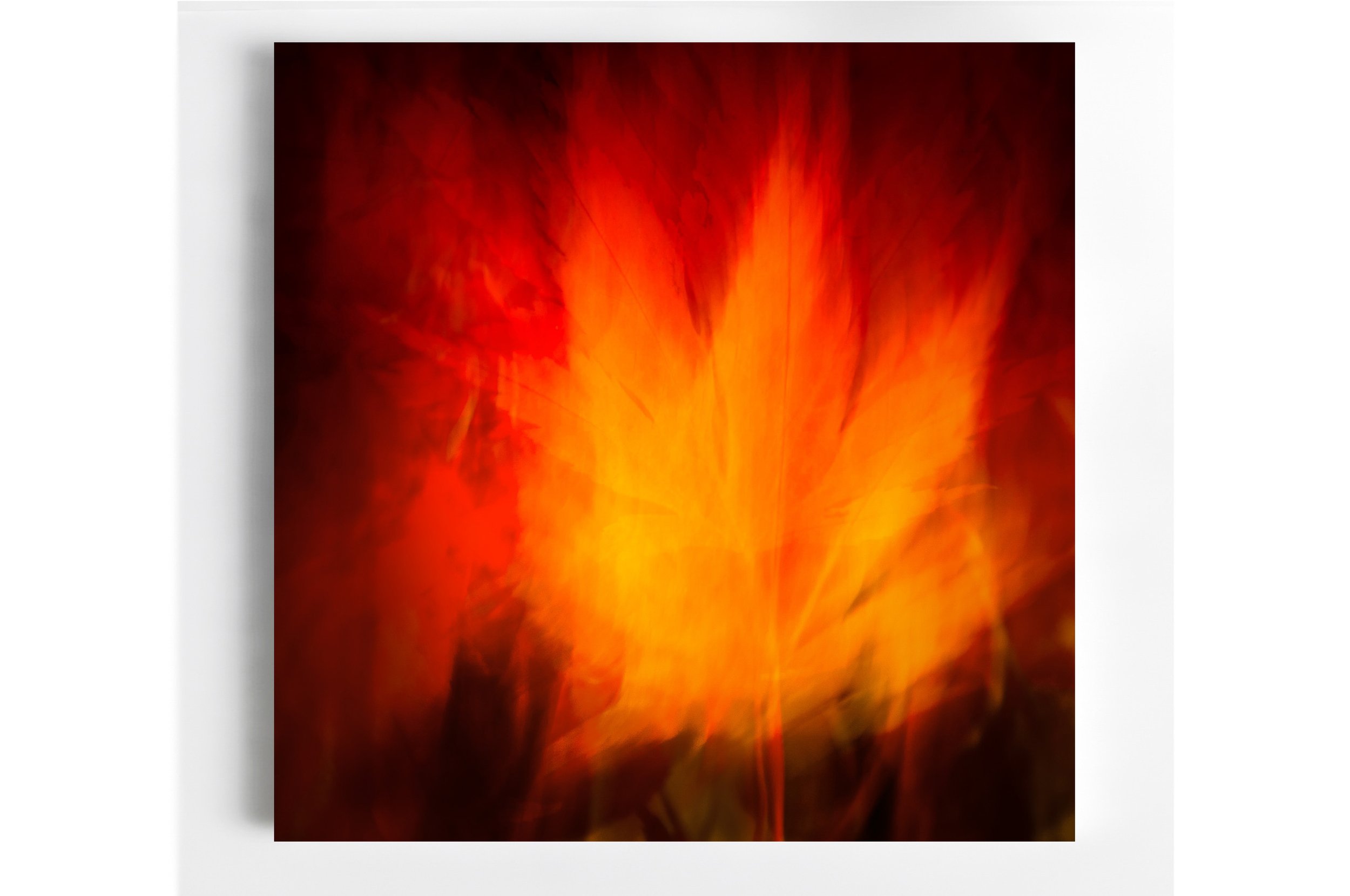55 LD_135_Firedance Room .jpg