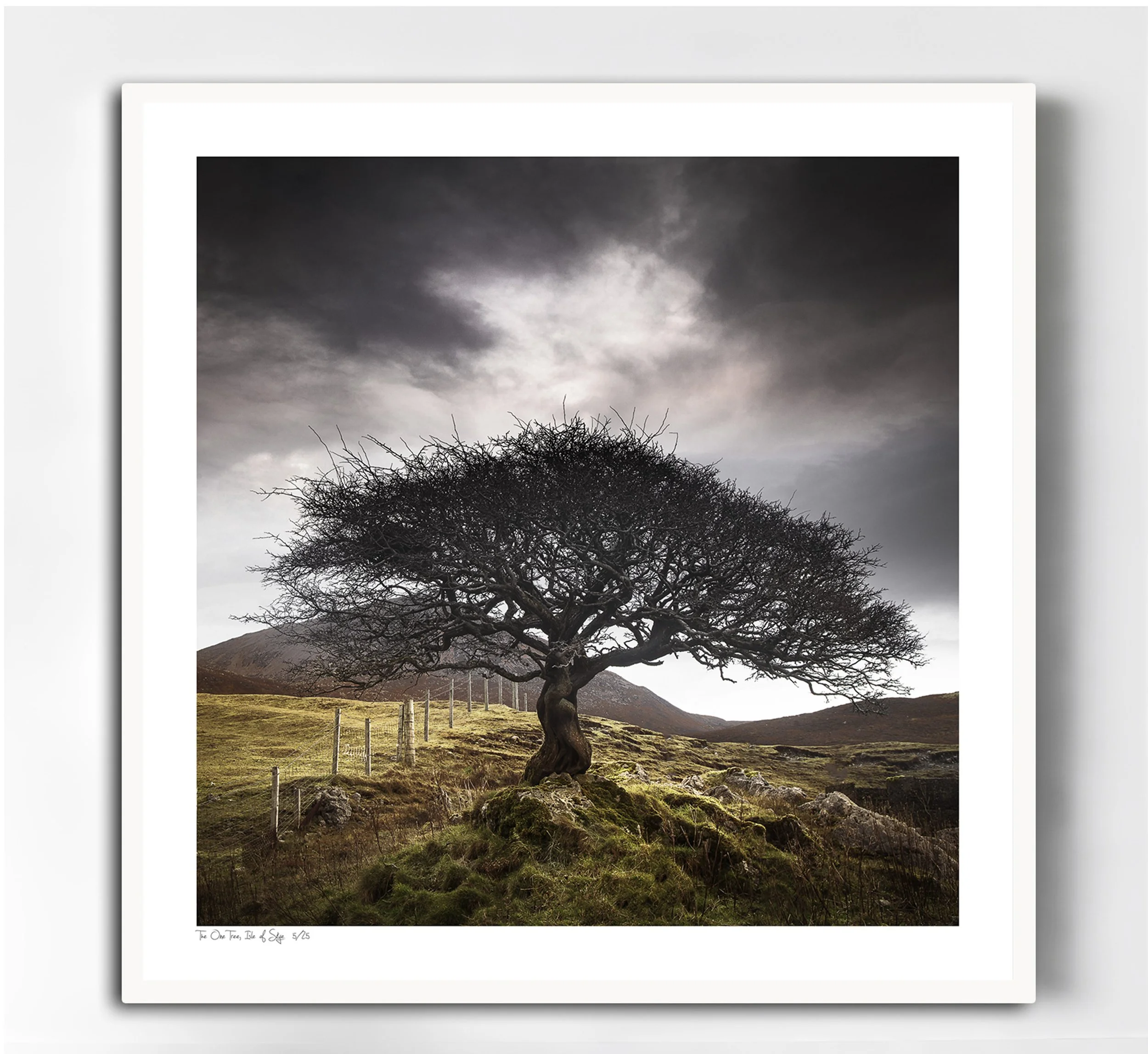 2 The One Tree Room .jpg