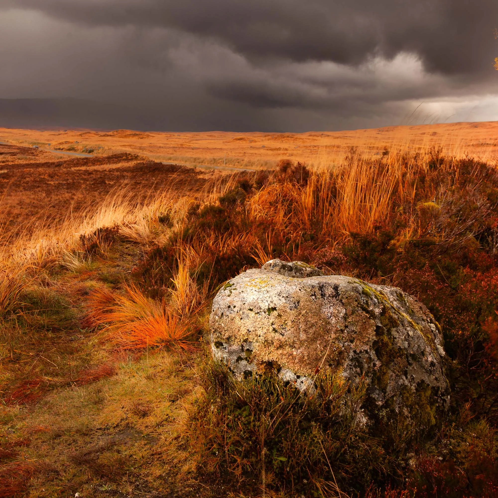 Burnished Horizon,Rannoch Moor.jpg