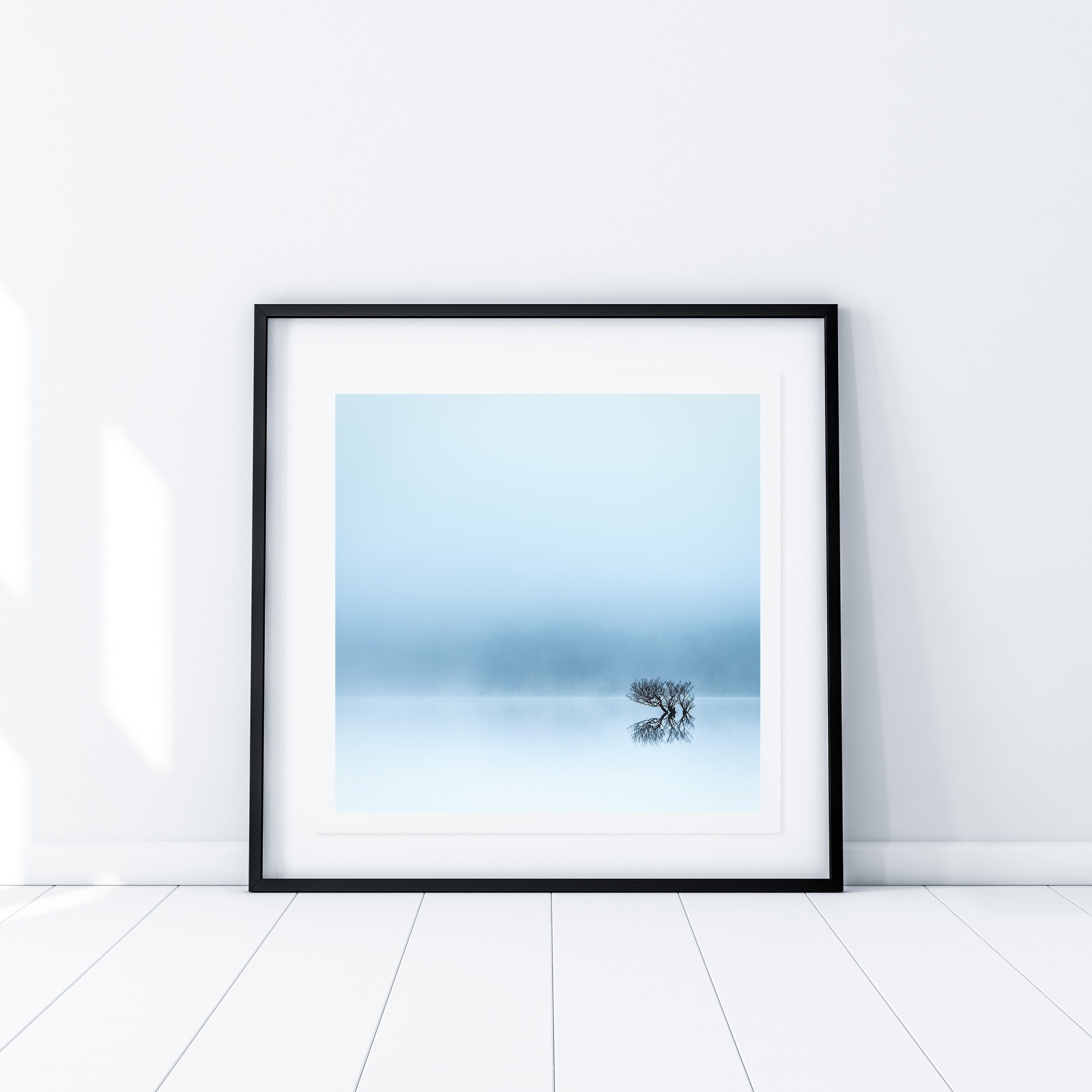 Lost in the mist 9.jpg