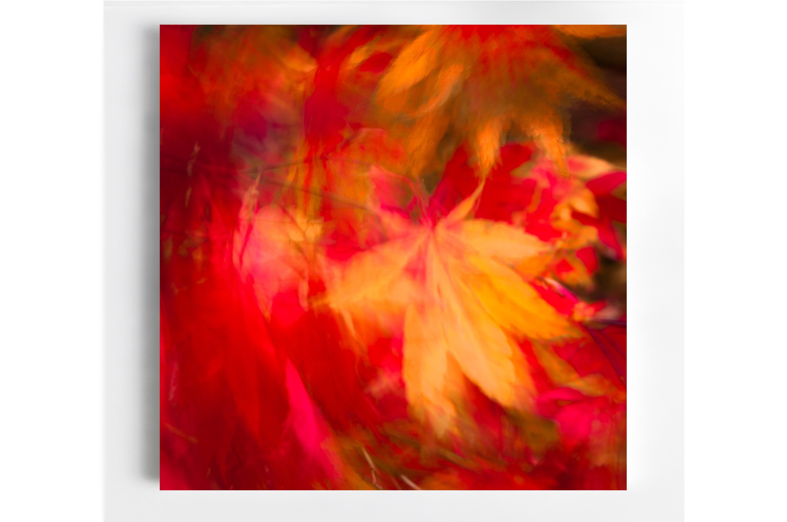 59 untitled-8843-Edit Room .jpg