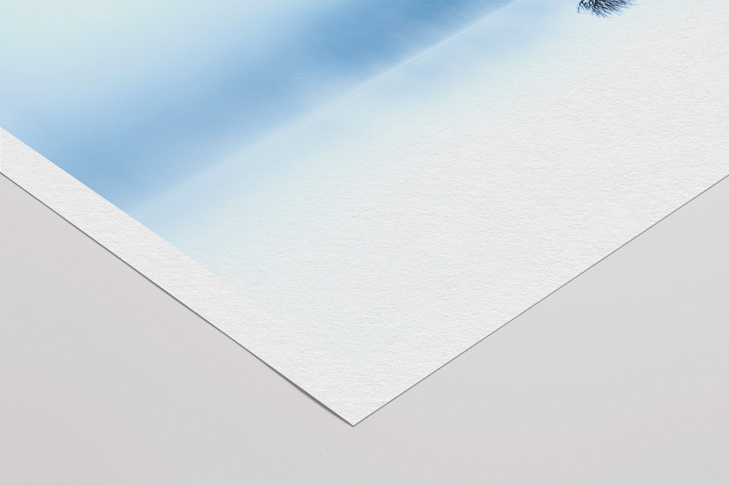 Lost in the mist 13.jpg