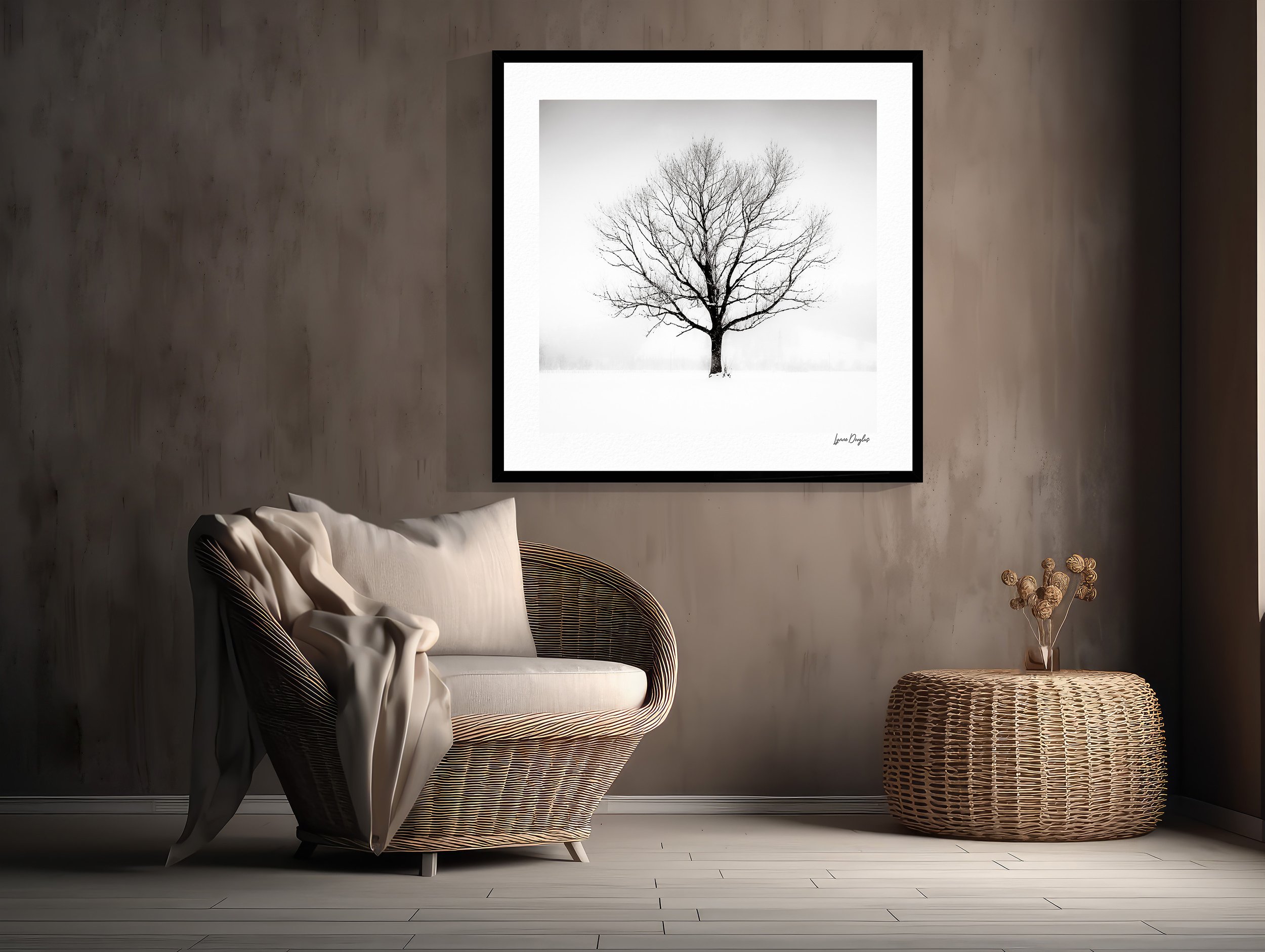 876 Solitude in White Room .jpg