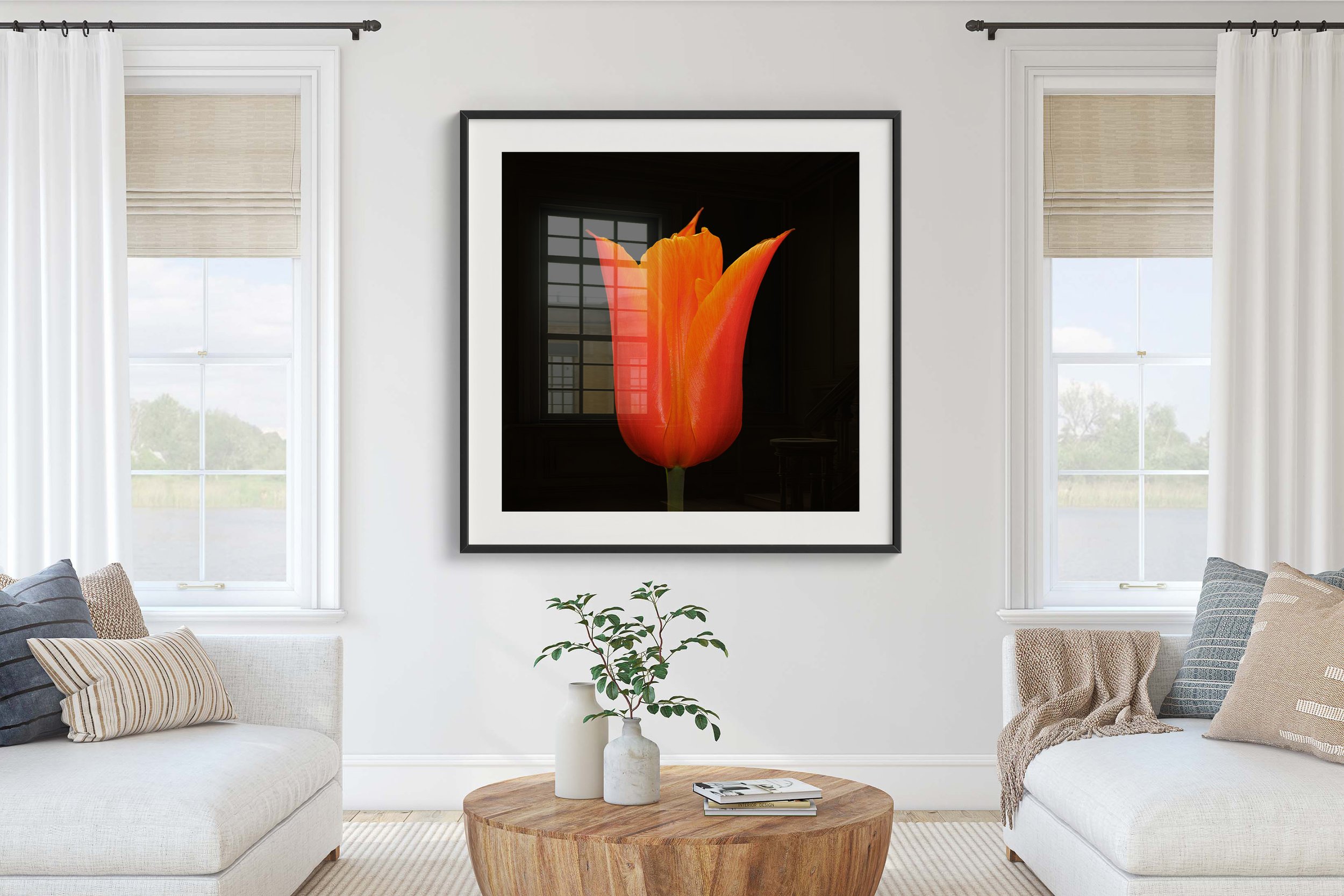 81 Orange Tulip 1-Edit-Edit-Edit-2 Room .jpg