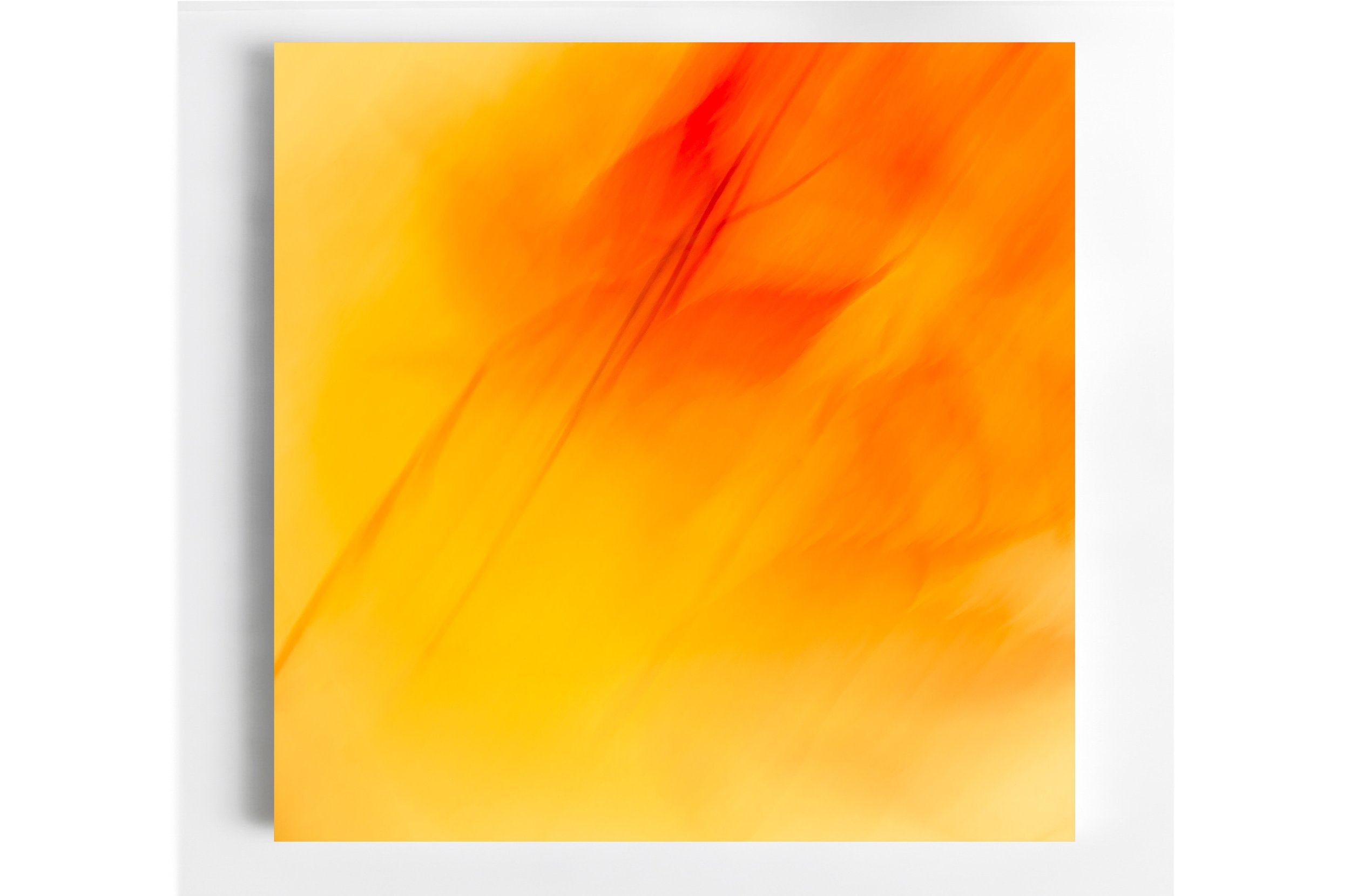 63 LD_153_Fiery Fall Flower Room .jpg