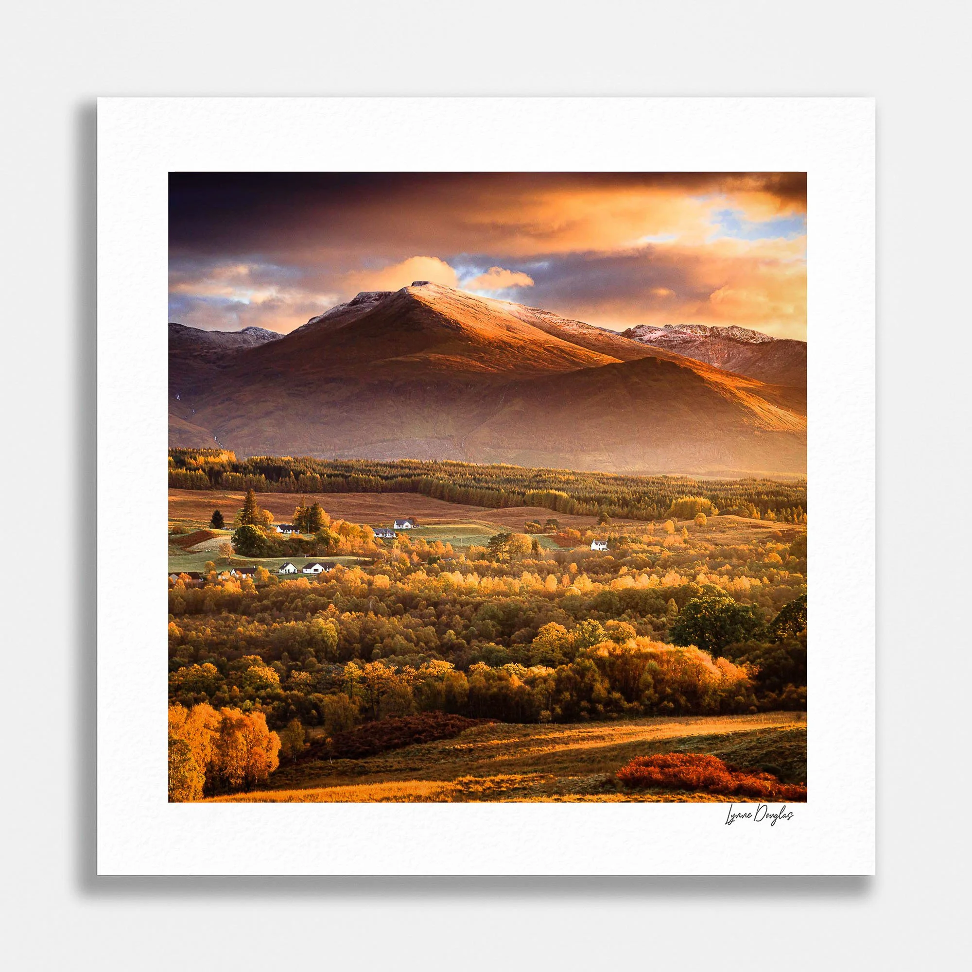 Autumn Light Ben Nevis.jpg