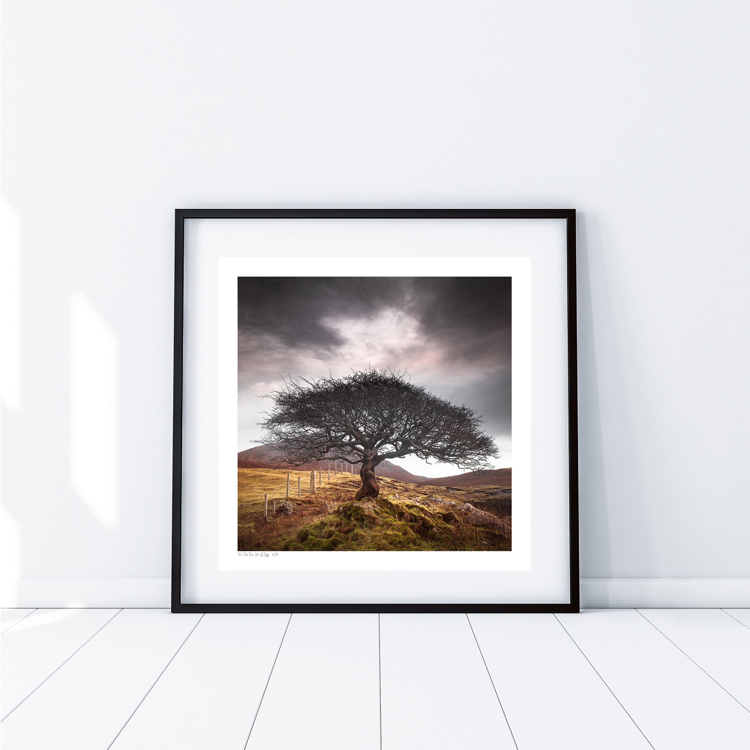1 The One Tree Room .jpg