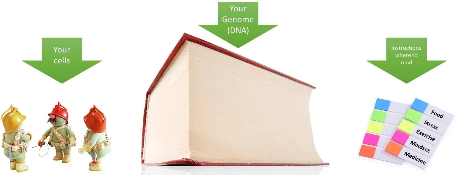 DNA EXPLAIN.jpg