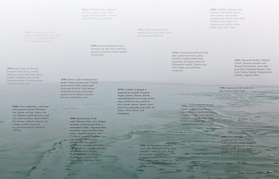"Primary Ice v2," Nelson Armour