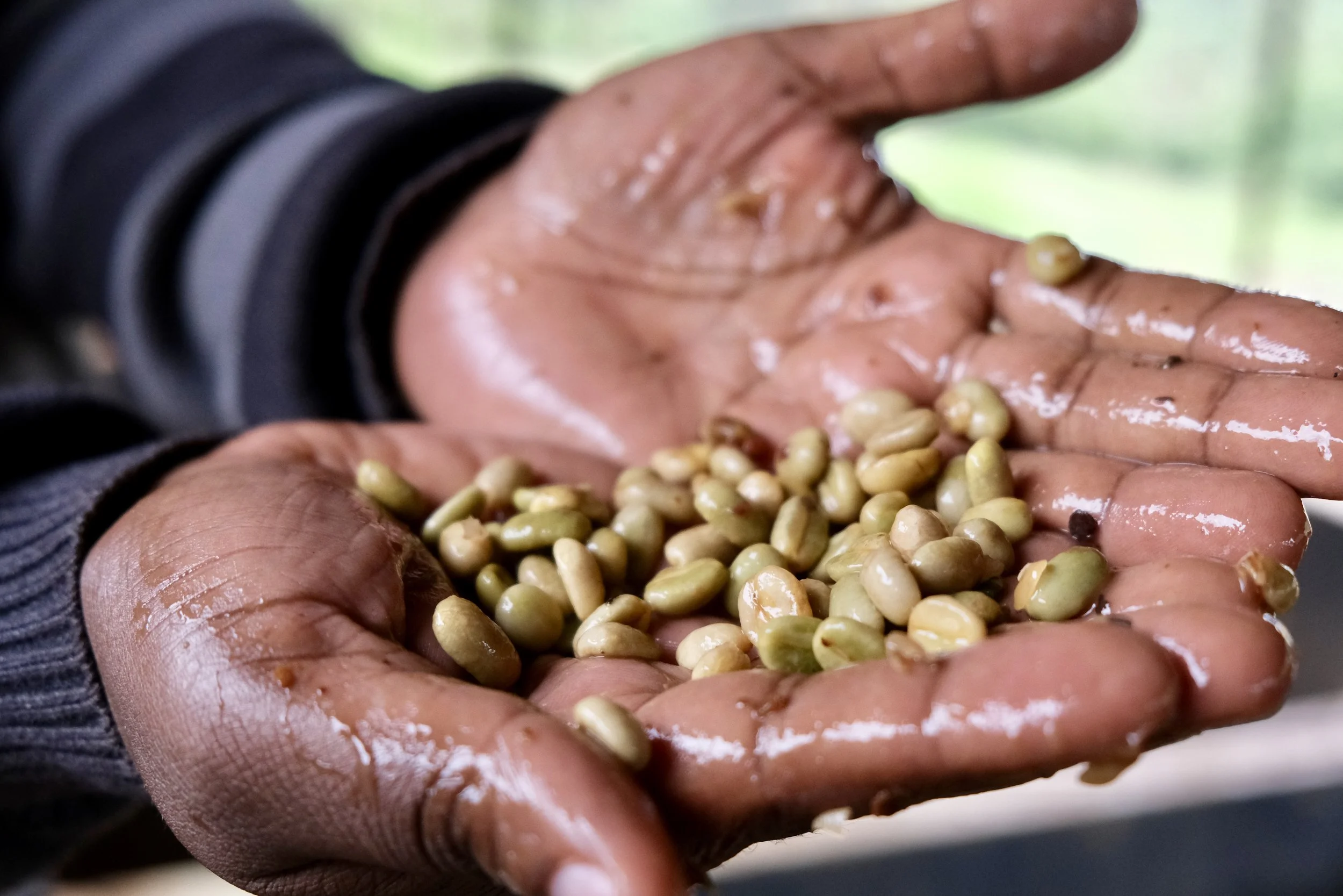 Kenya Mugaga Gatina.jpg