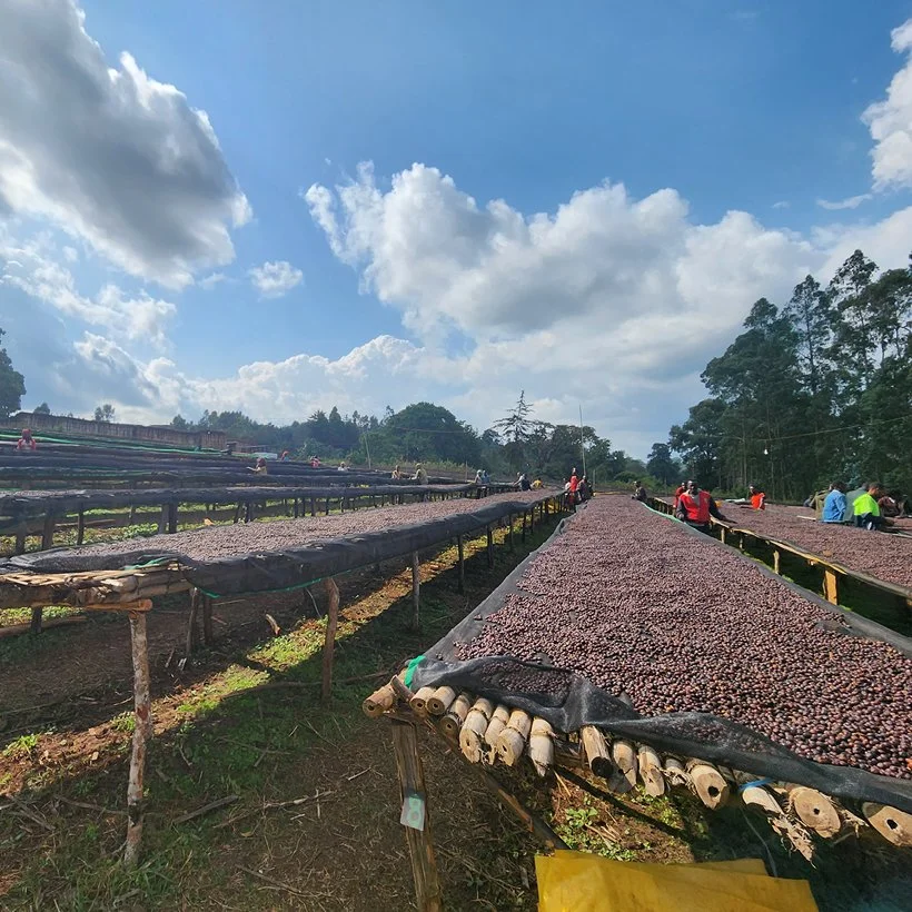 Ethiopia Worka Sakaro CM_Webtile.jpg