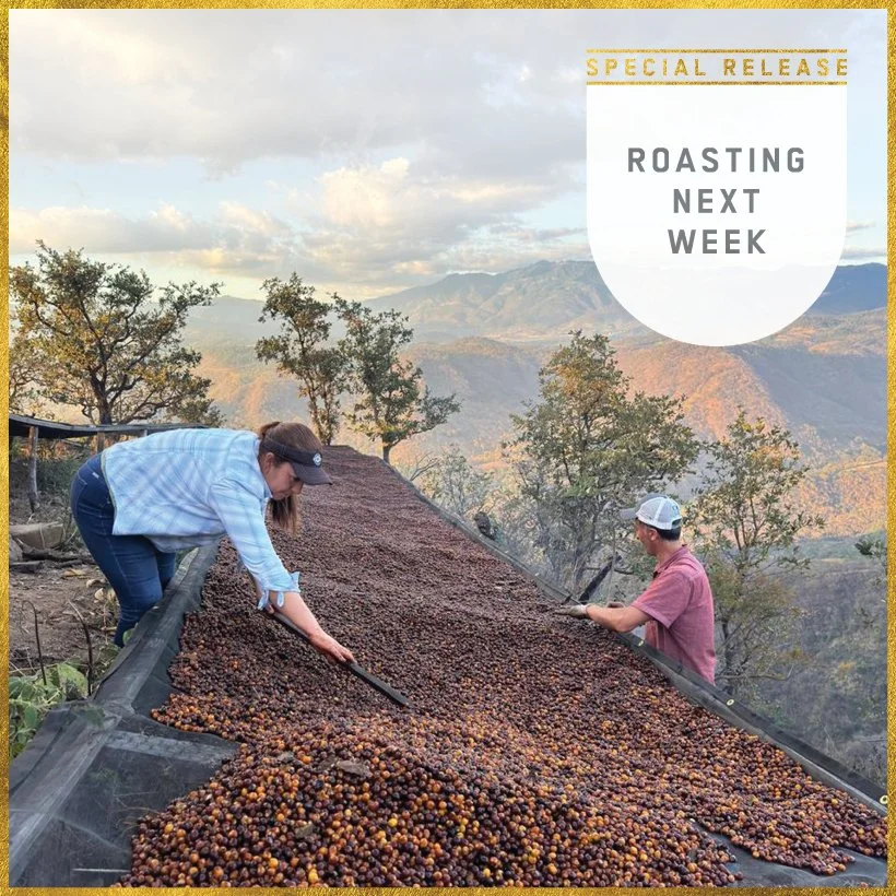 281_DELUCA_TASTING NOTES_FREDY ORANTES (SPECIAL)_RNW BADGE.jpg