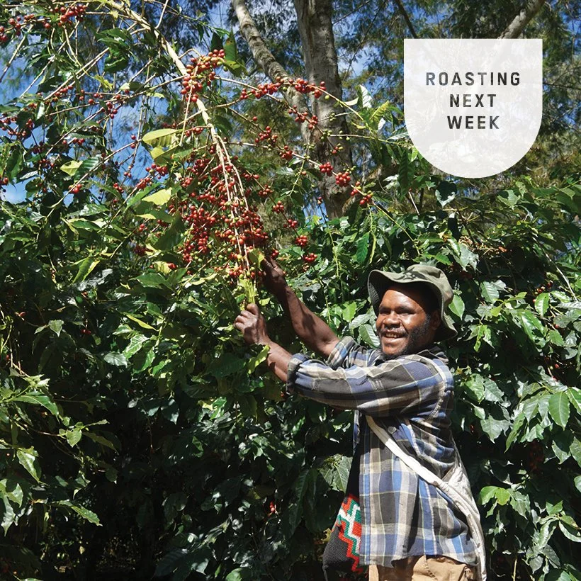 Papua New Guinea Baroida N_RNW.jpg