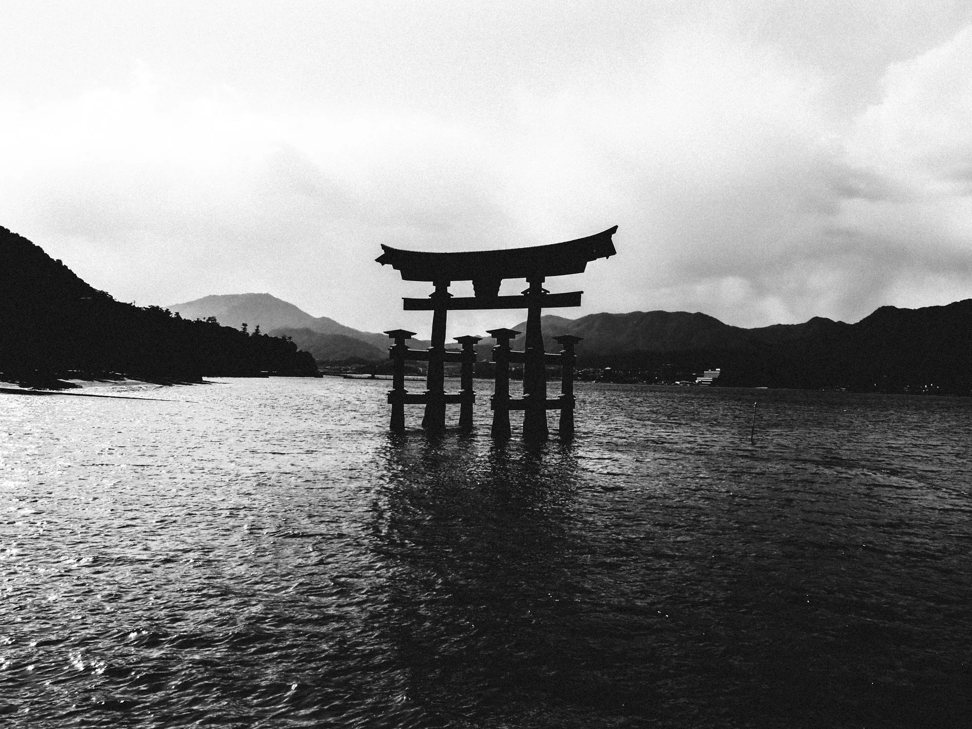 slowness helps you see and feel