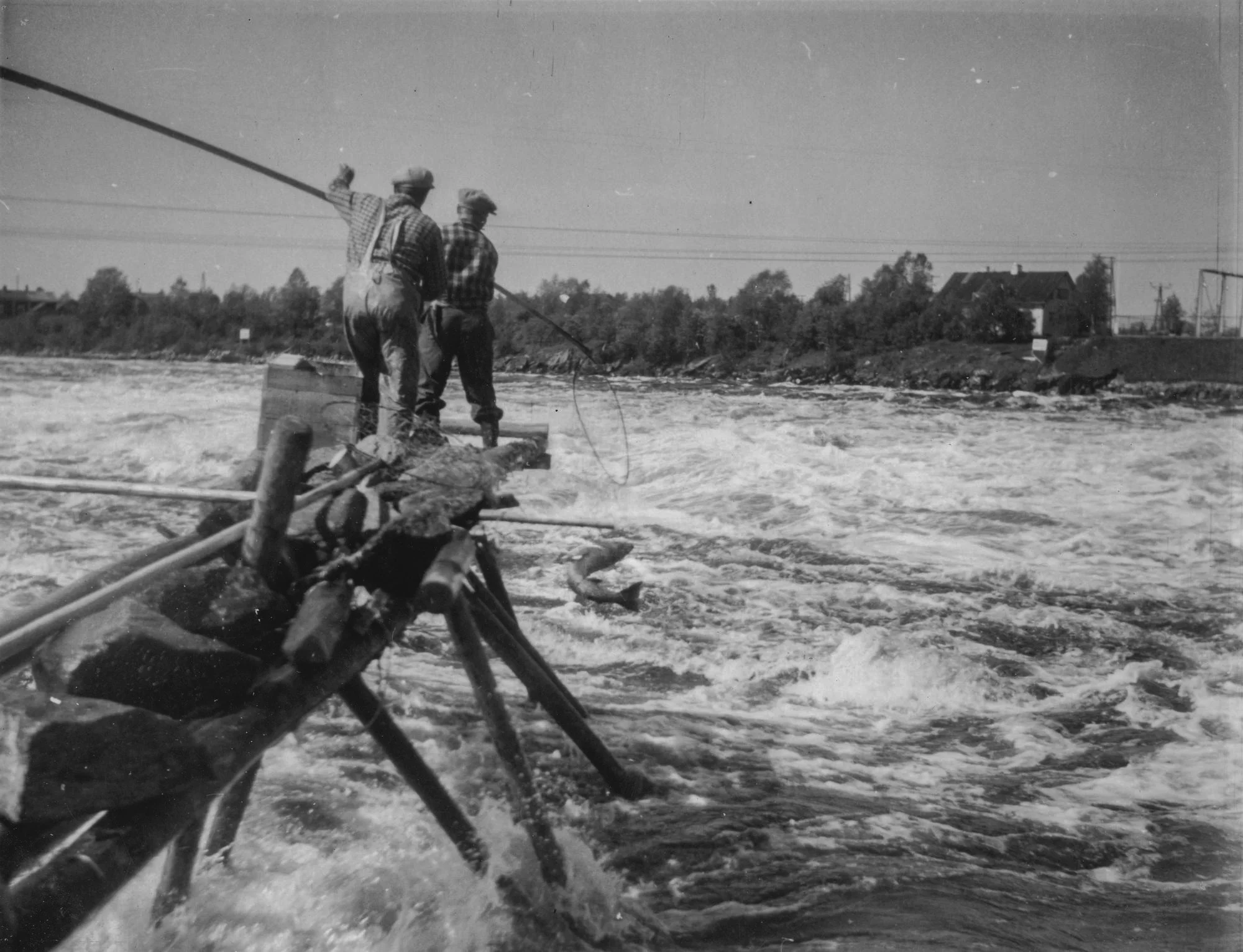 Lohen lippoamista Isohaaran voimalaitoskanavassa vuonna 1952. Kuva Antti Puuperä small.jpg