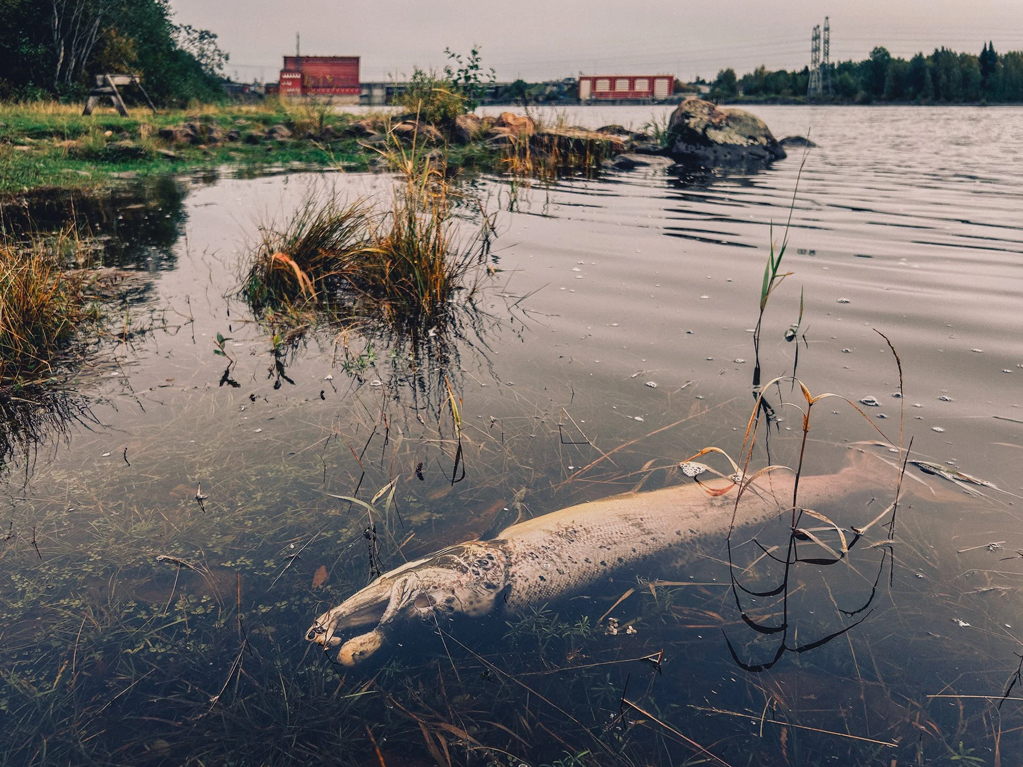 The River We Inherited