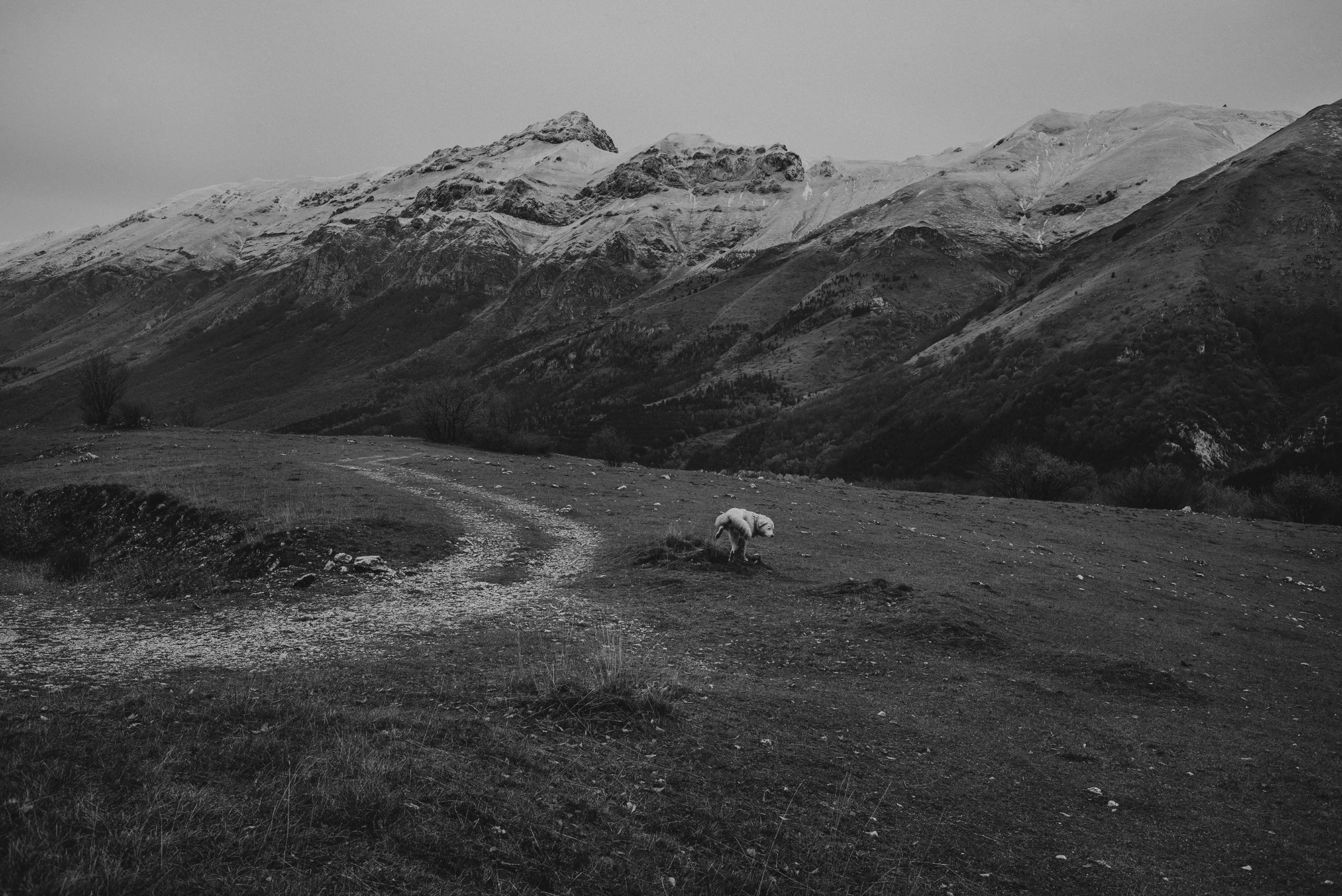Gran Sasso 01 copy.jpg