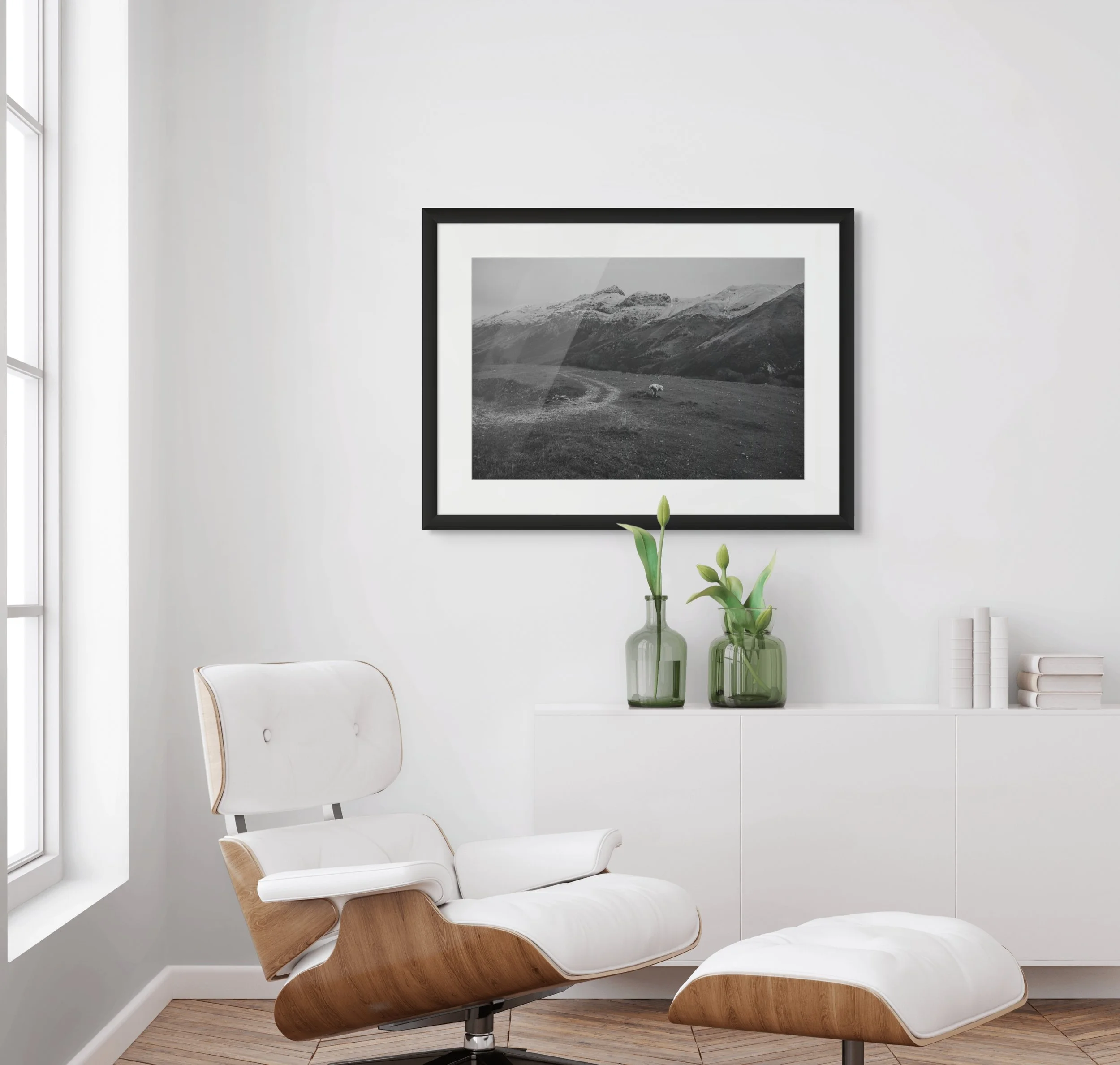 A White Shepherd Dog in Gran Sasso a1.jpg