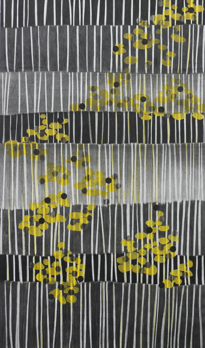 tidal waters, 2014 / ink and charcoal drawing on paper / 89cm x 144cm